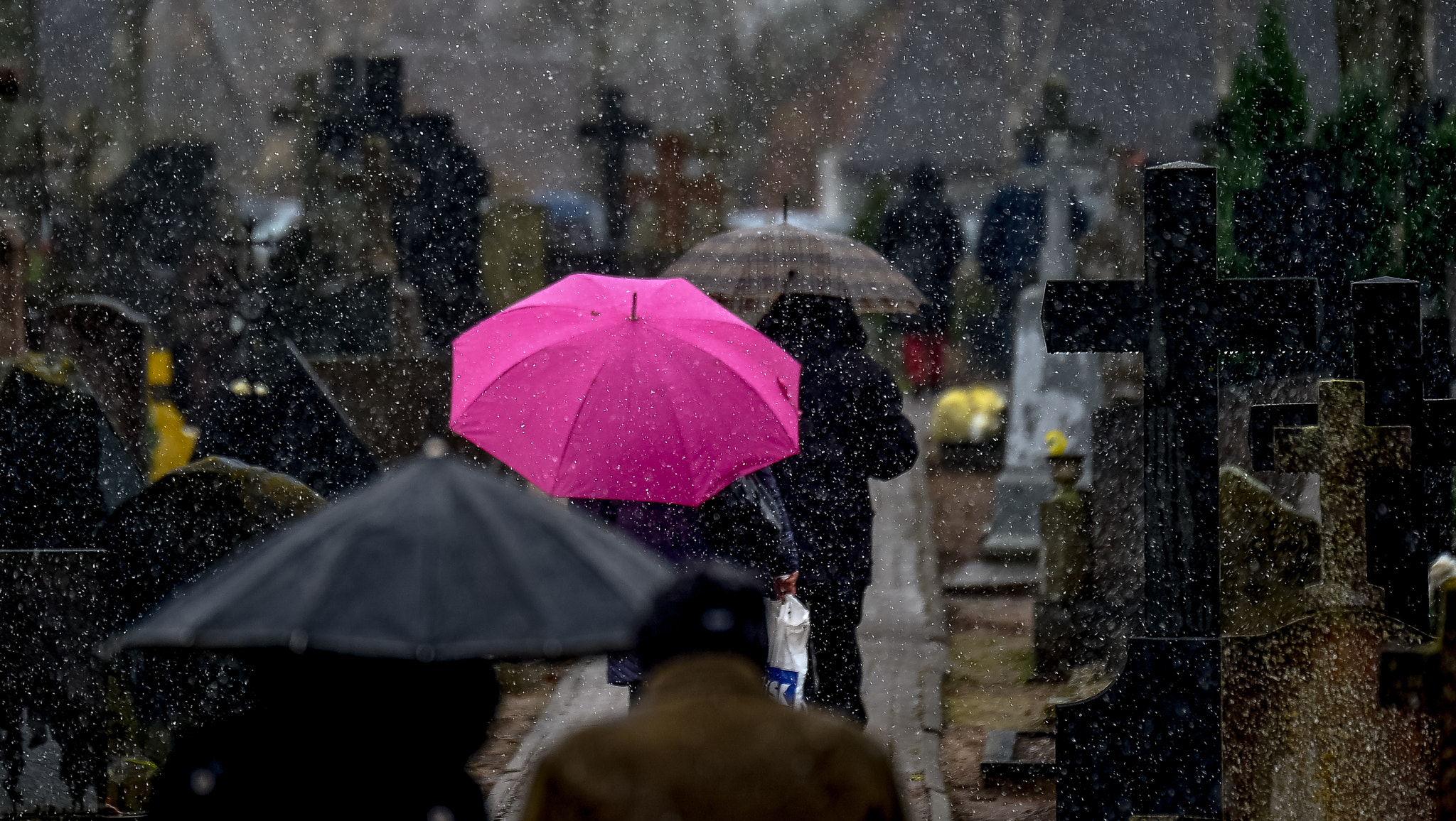 Tamron SP 70-200mm F2.8 Di VC USD sample photo. All souls' day traditions lithuania photography