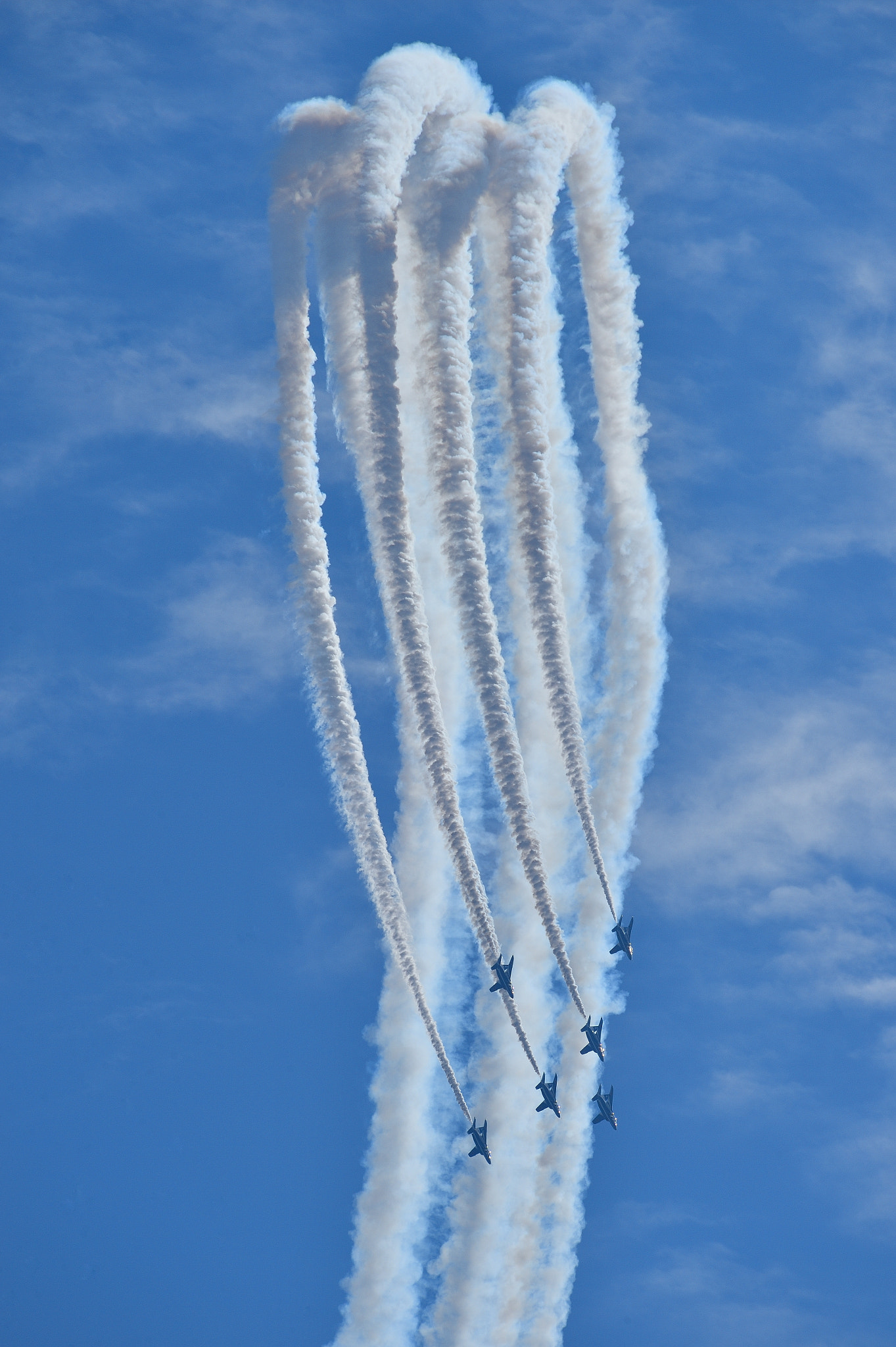 Nikon AF-S Nikkor 200-500mm F5.6E ED VR sample photo. Blue impulse photography