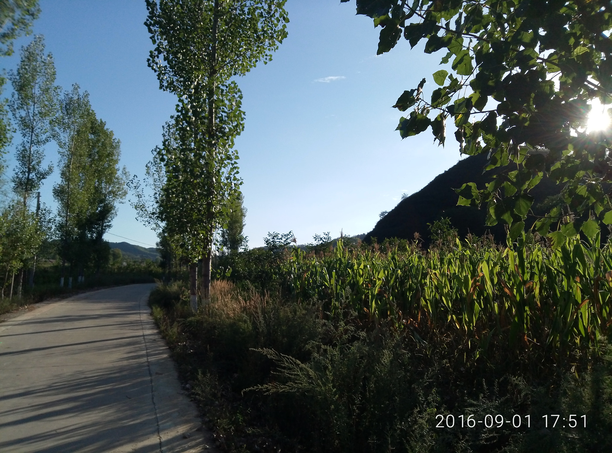 Meizu M1 E sample photo