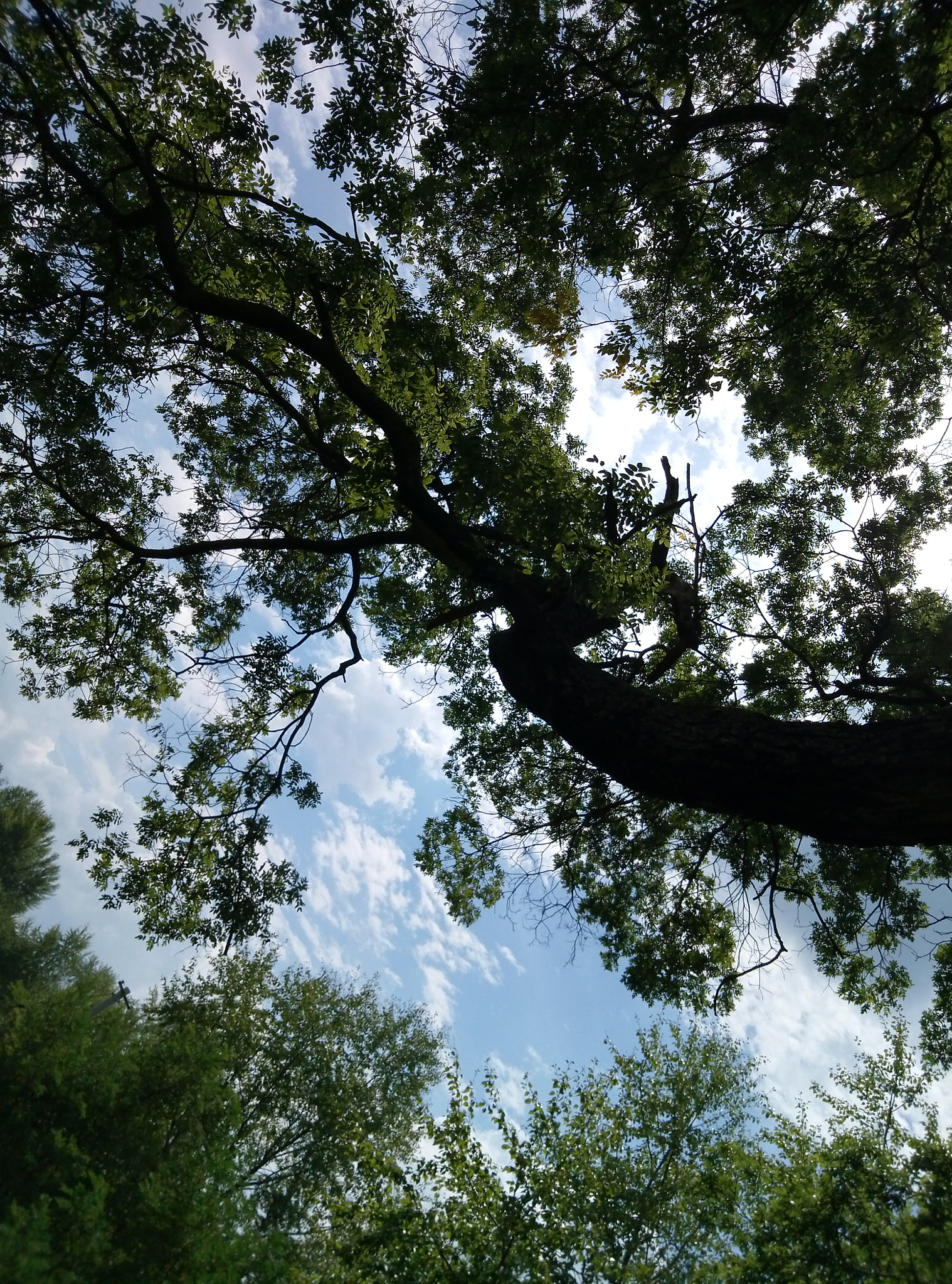 Meizu M1 E sample photo