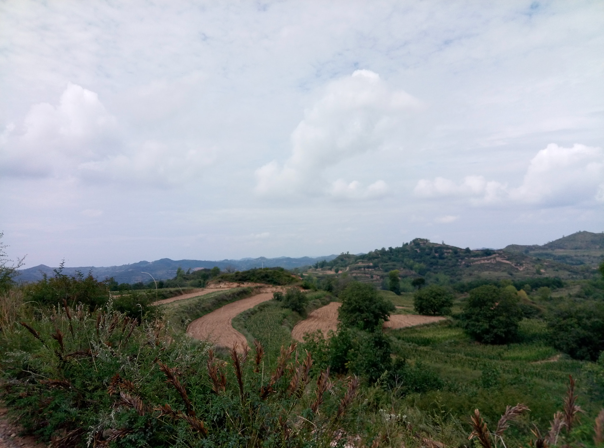 Meizu M1 E sample photo