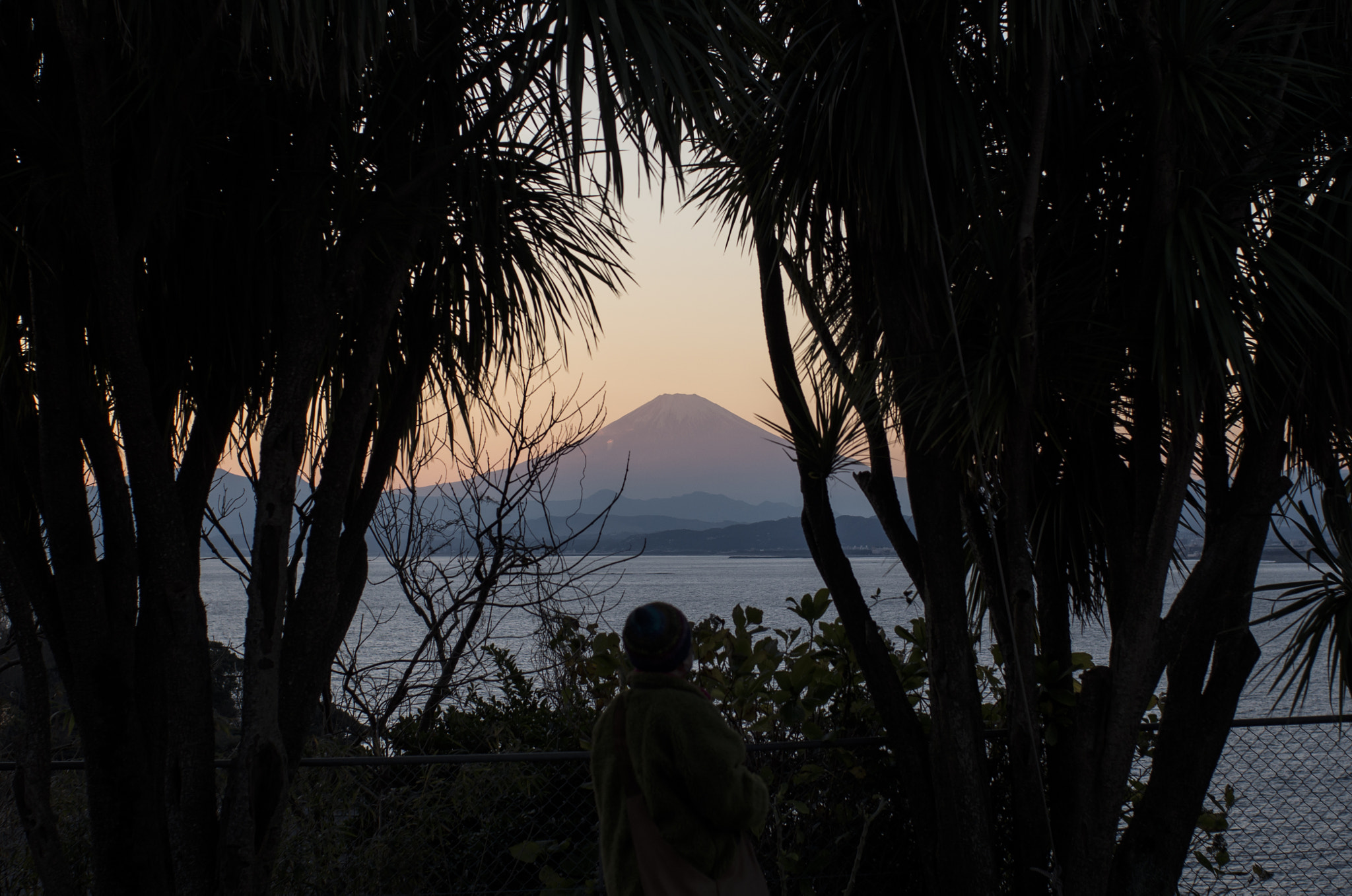 Pentax K-5 II sample photo. Mt.fuji photography