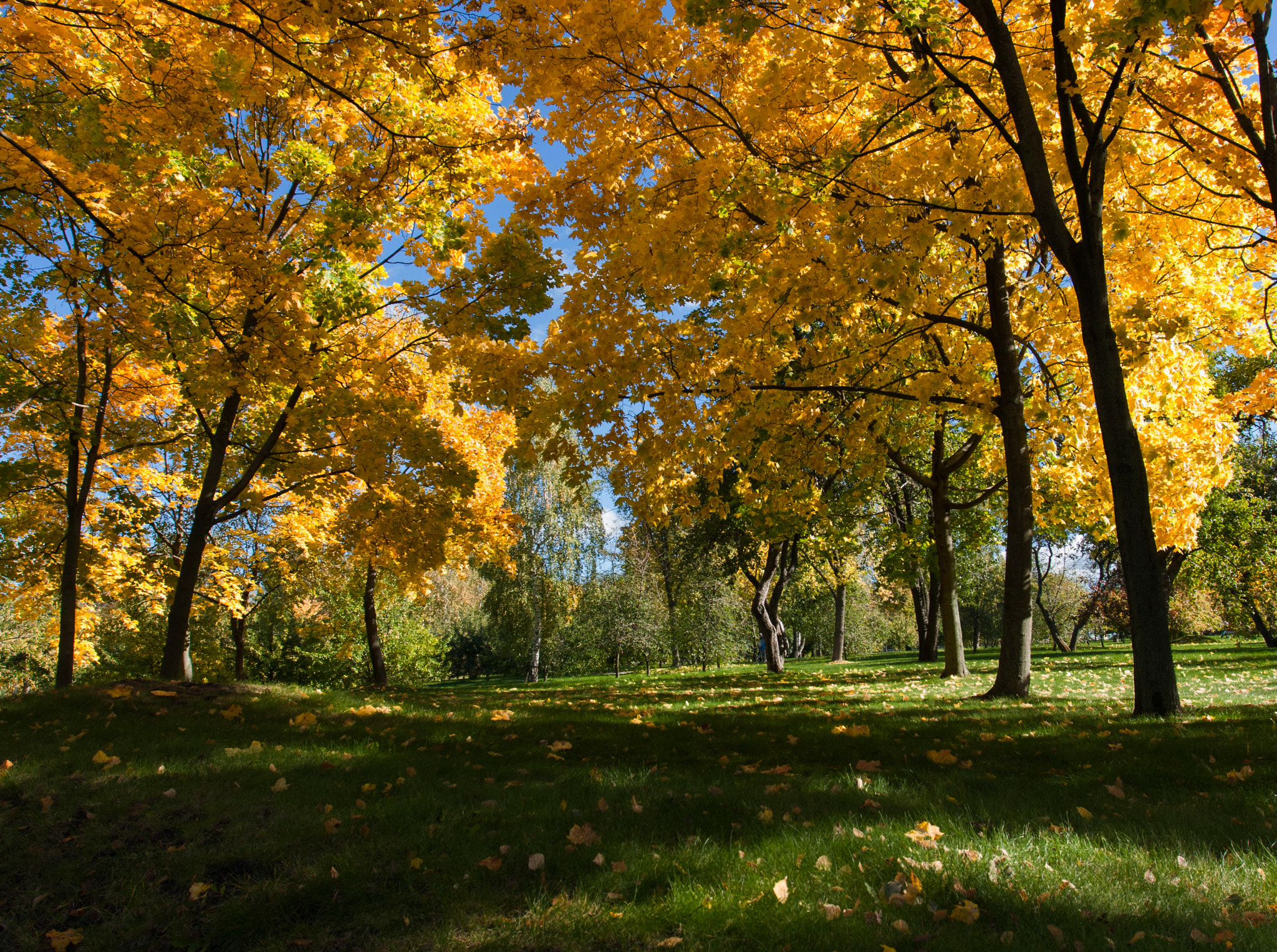 Canon EOS 40D + Canon EF 17-40mm F4L USM sample photo. Золотой шатер photography