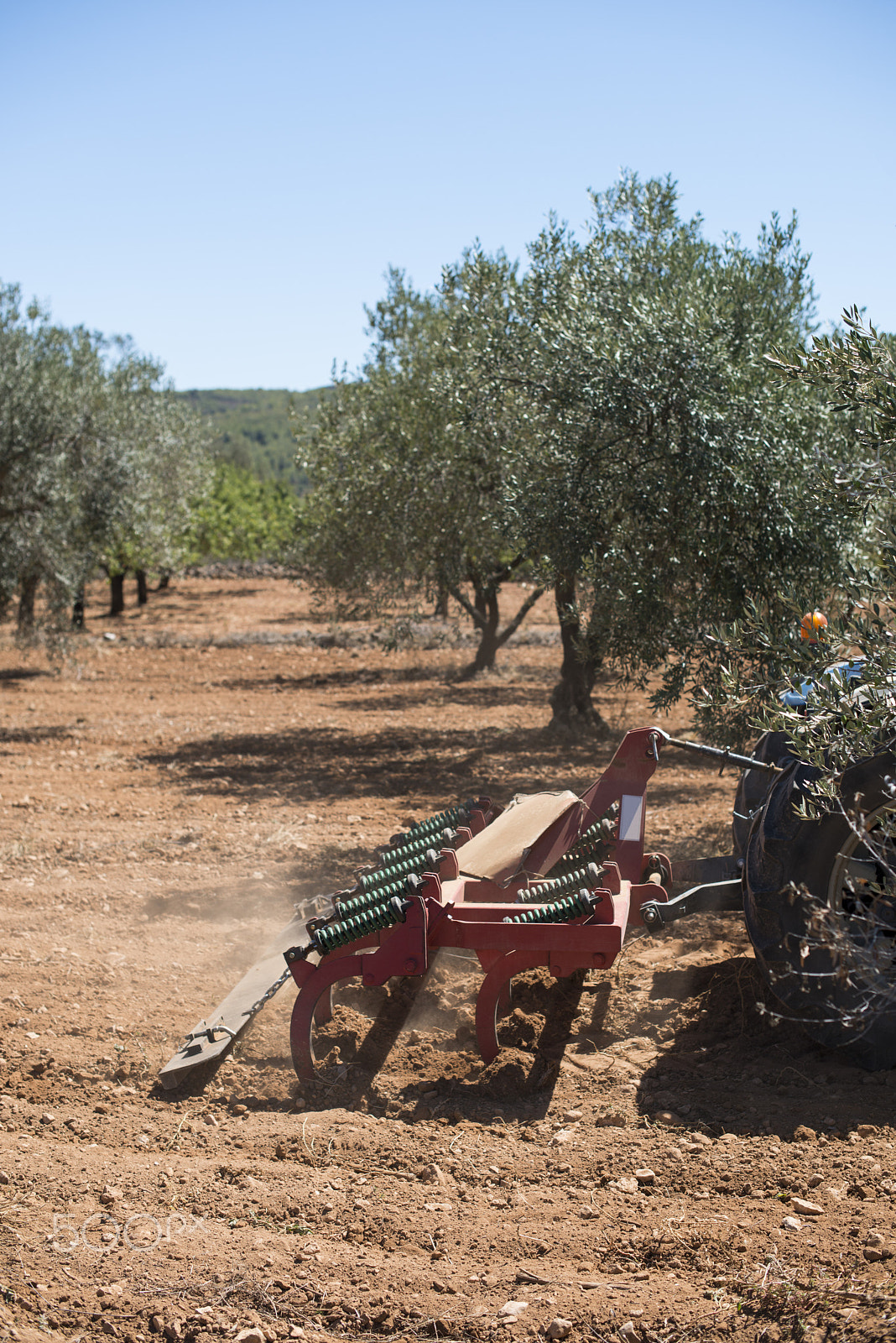 Nikon D800E + Nikon AF-S Nikkor 50mm F1.4G sample photo. Tractor and olive trees photography