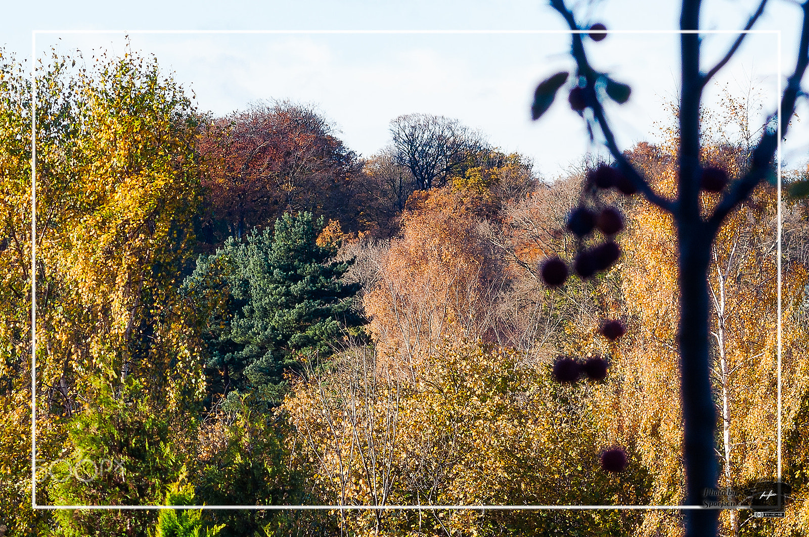 Sigma 70-300mm F4-5.6 APO DG Macro sample photo. Autum colors photography