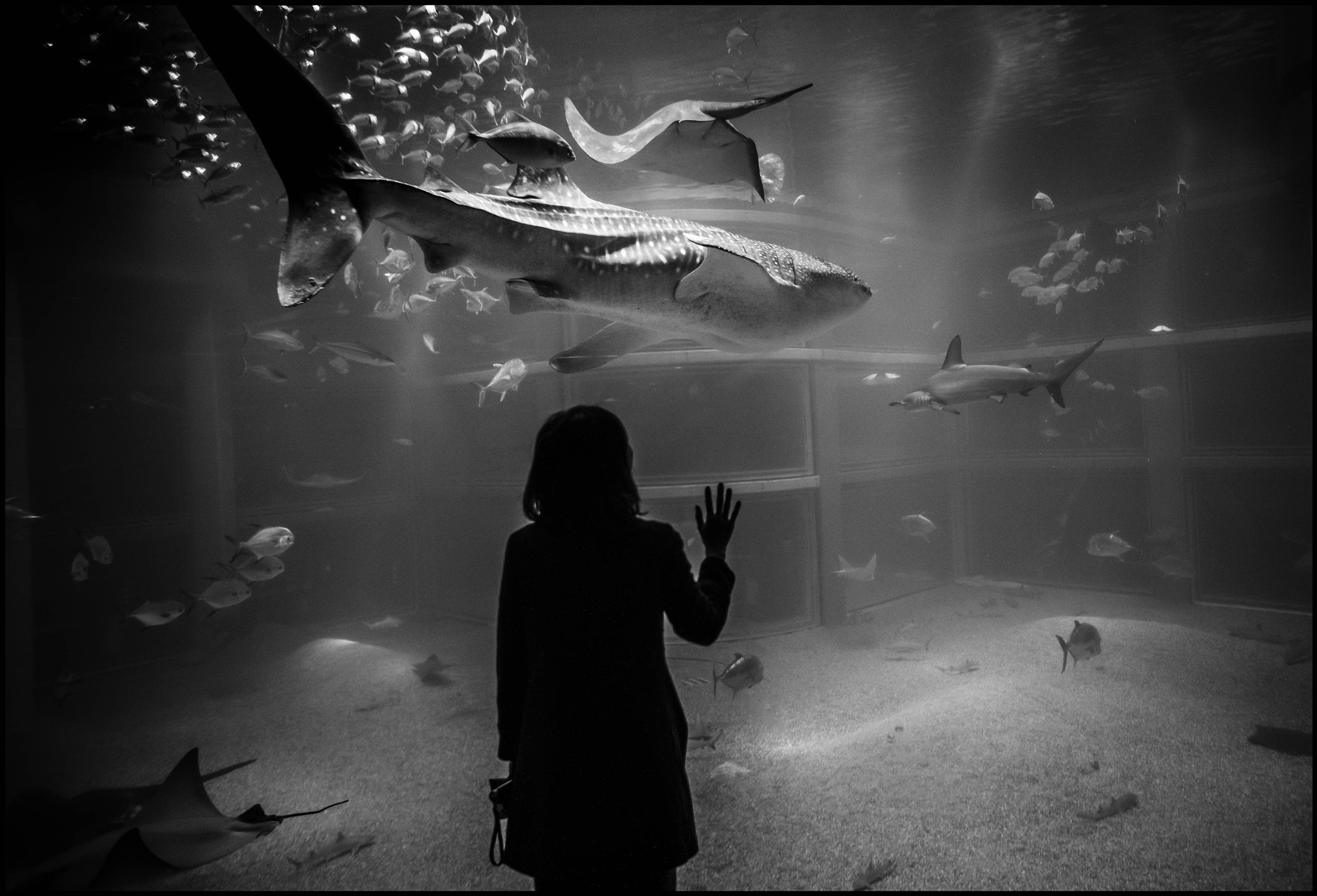 Leica Summilux-M 21mm F1.4 Asph sample photo. Wonder photography