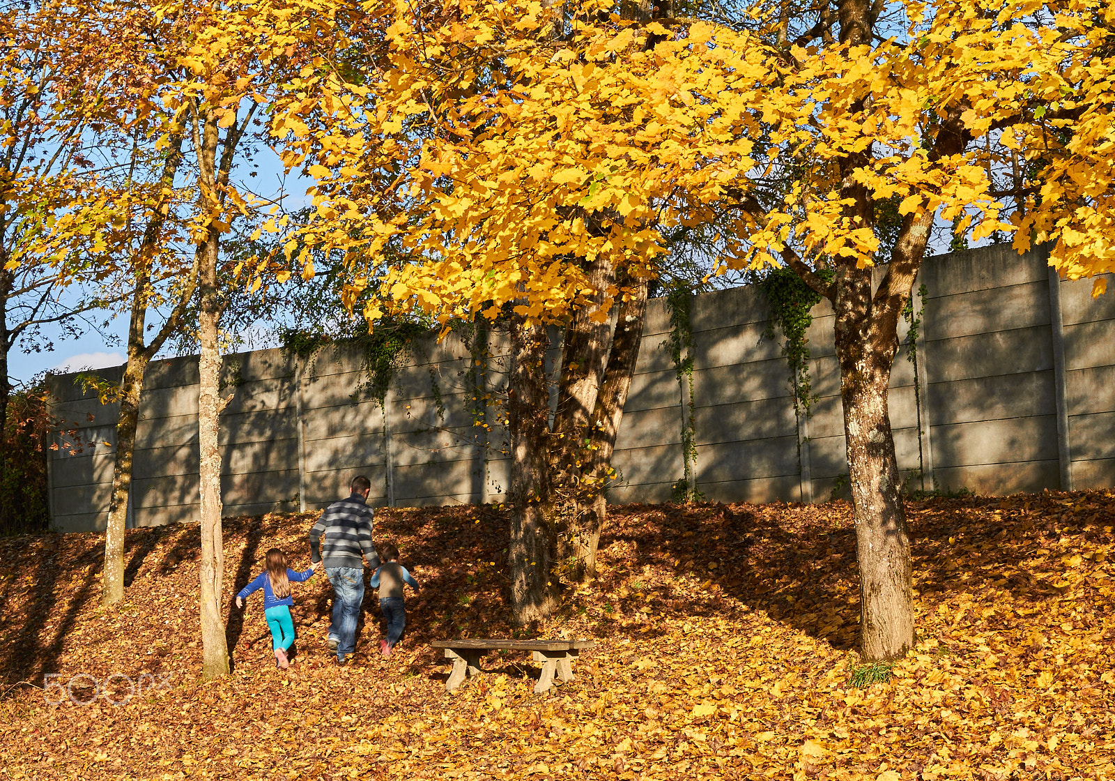 Sigma 24-70mm F2.8 EX DG HSM sample photo. Fall colors photography