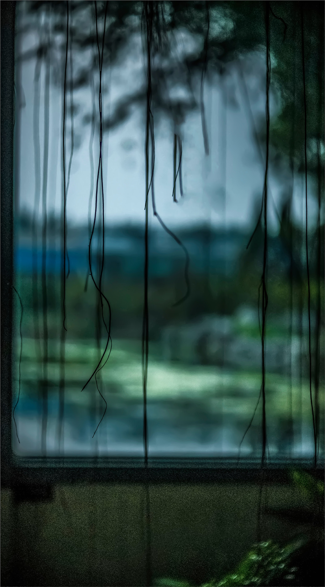 DT 40mm F2.8 SAM sample photo. 秋雨 photography