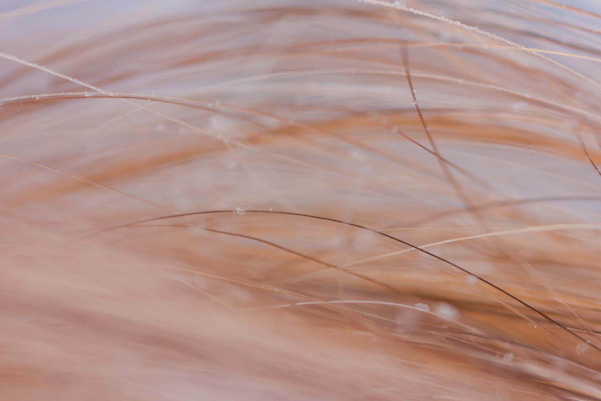 Sigma 105mm F2.8 EX DG Macro sample photo. Гиперболы photography