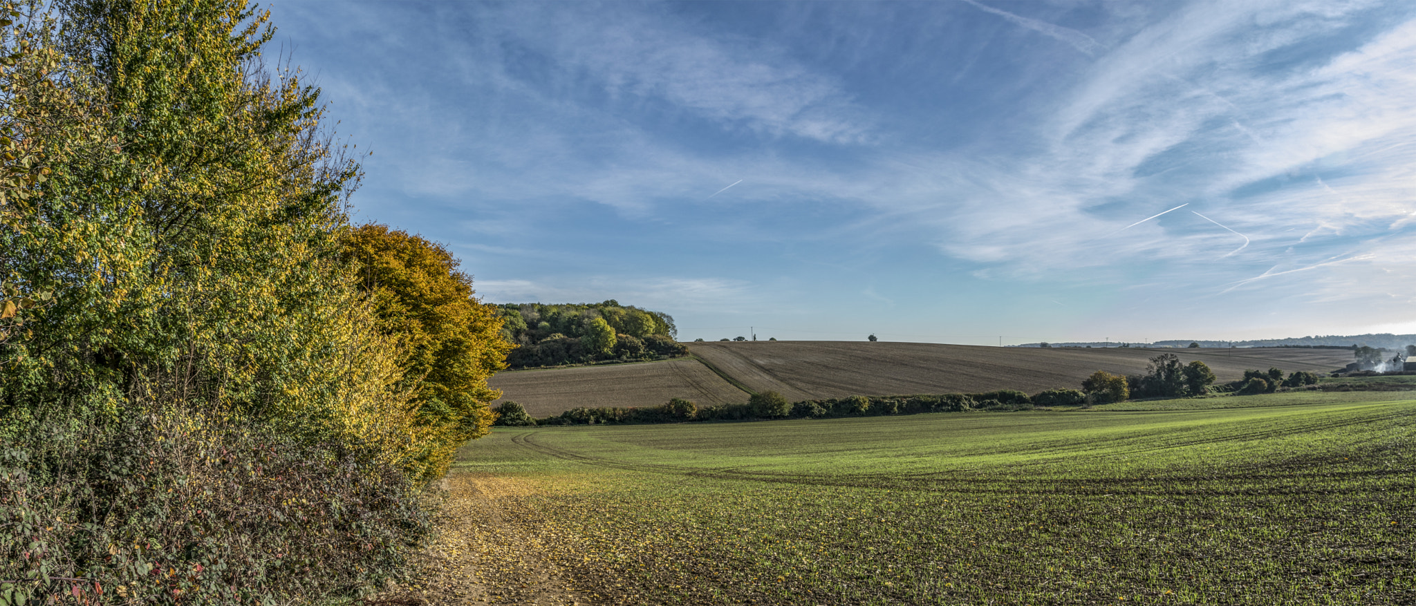 Sigma 17-70mm F2.8-4 DC Macro OS HSM sample photo. Rural hertfordshire photography