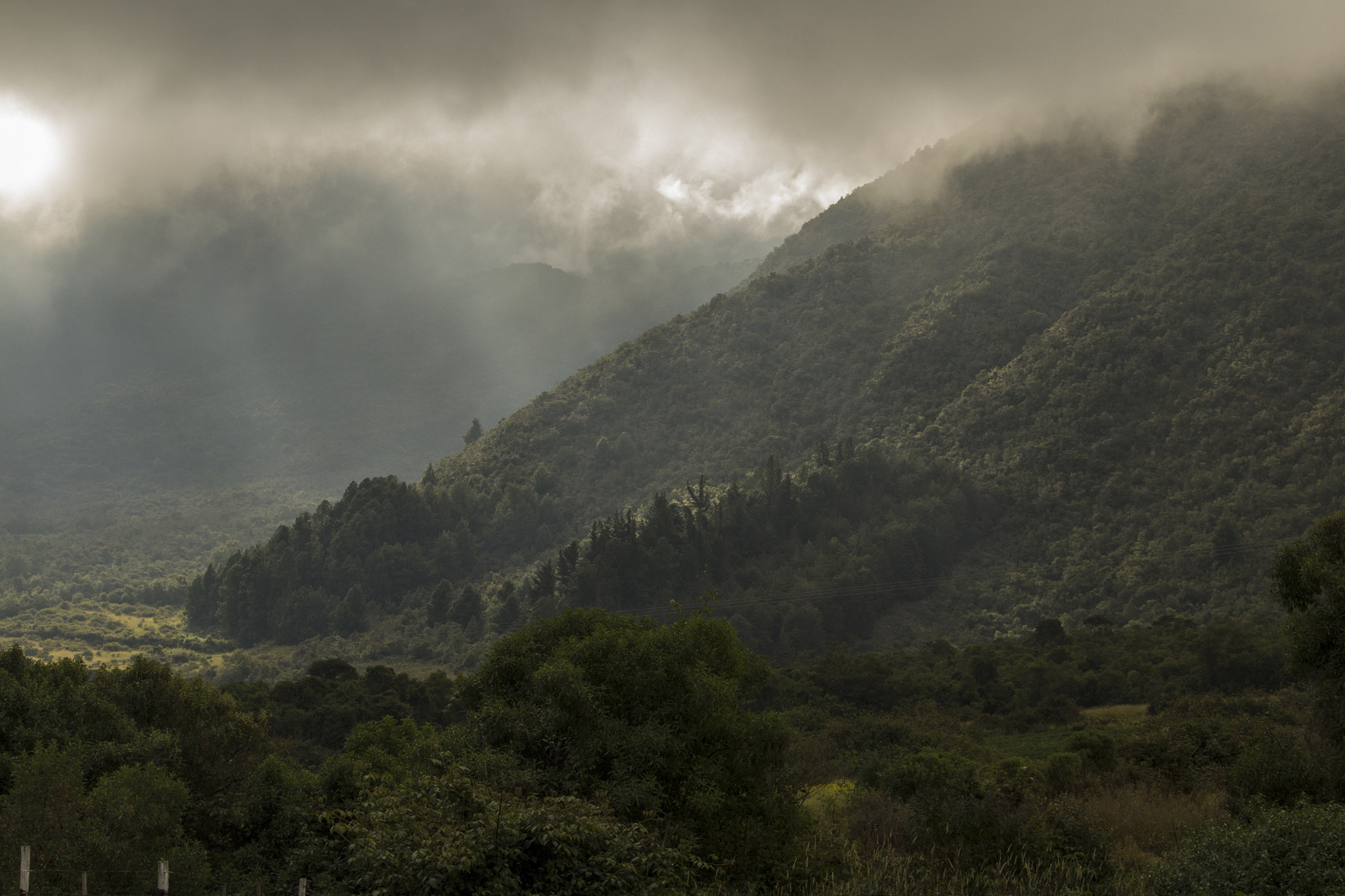 v2?sig=7d7238efdaf633bcefb5af2bcc8054c21fbf8f6800eaf9f47a4e7448d7deb4cb