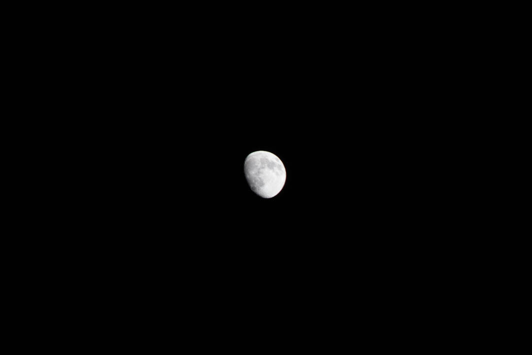 Canon EOS 60D sample photo. Conejito de la luna.  27 de junio 2015. saucillo chihuahua.  #luna #noche #camping #moon #night photography