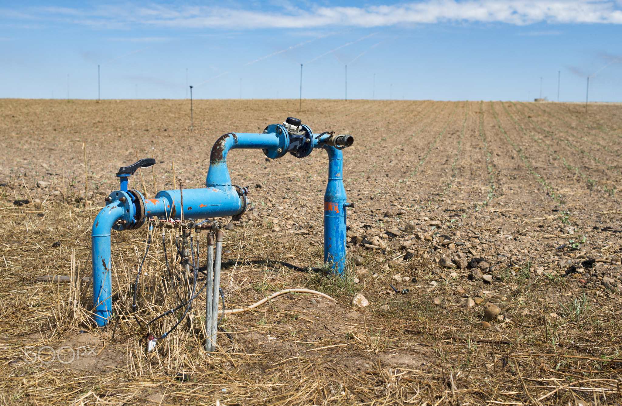 Pipes and tap water for watering plants