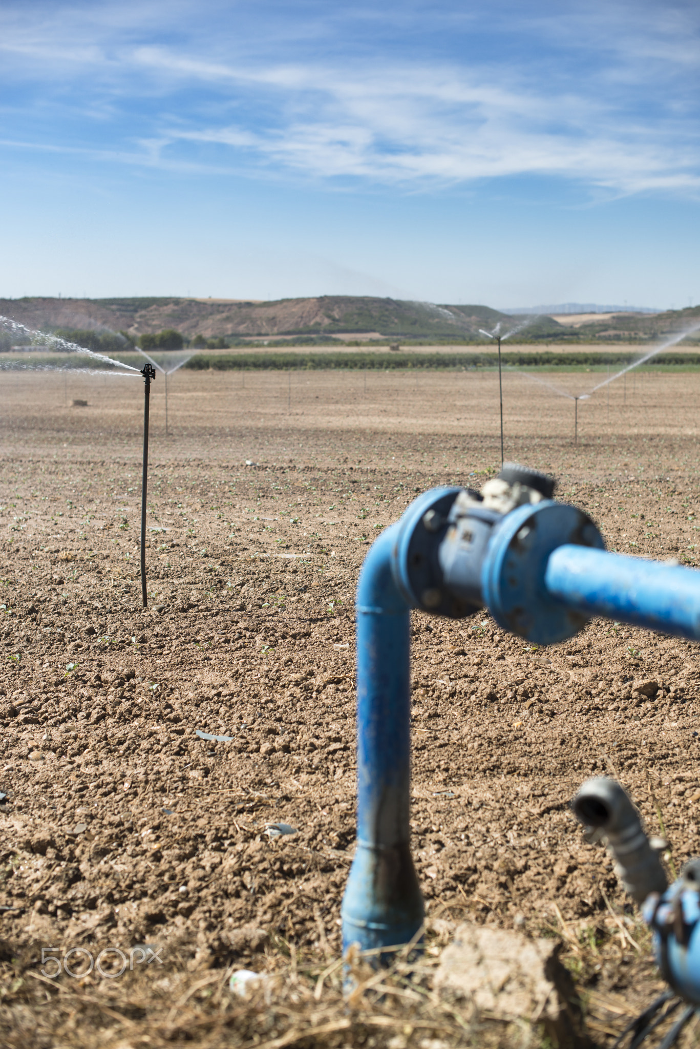 Pipes and tap water for watering plants