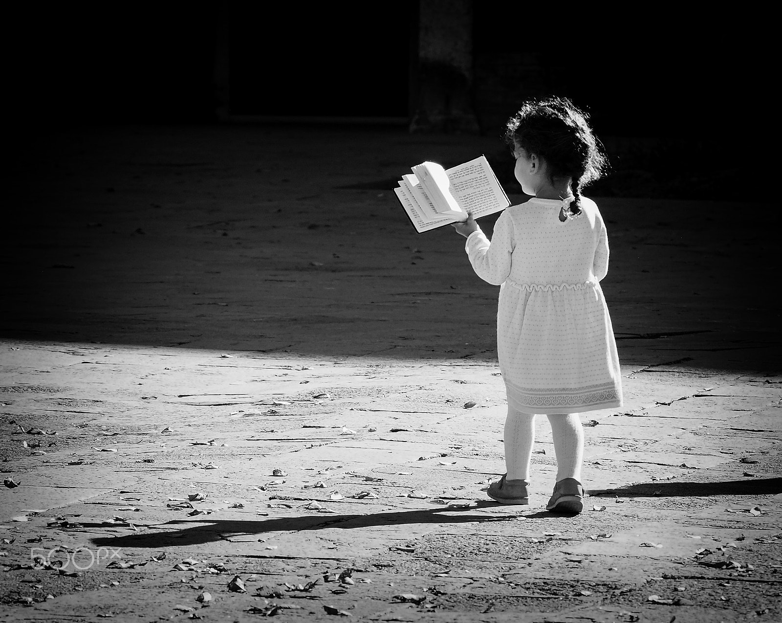 Olympus OM-D E-M5 II sample photo. Bible photography