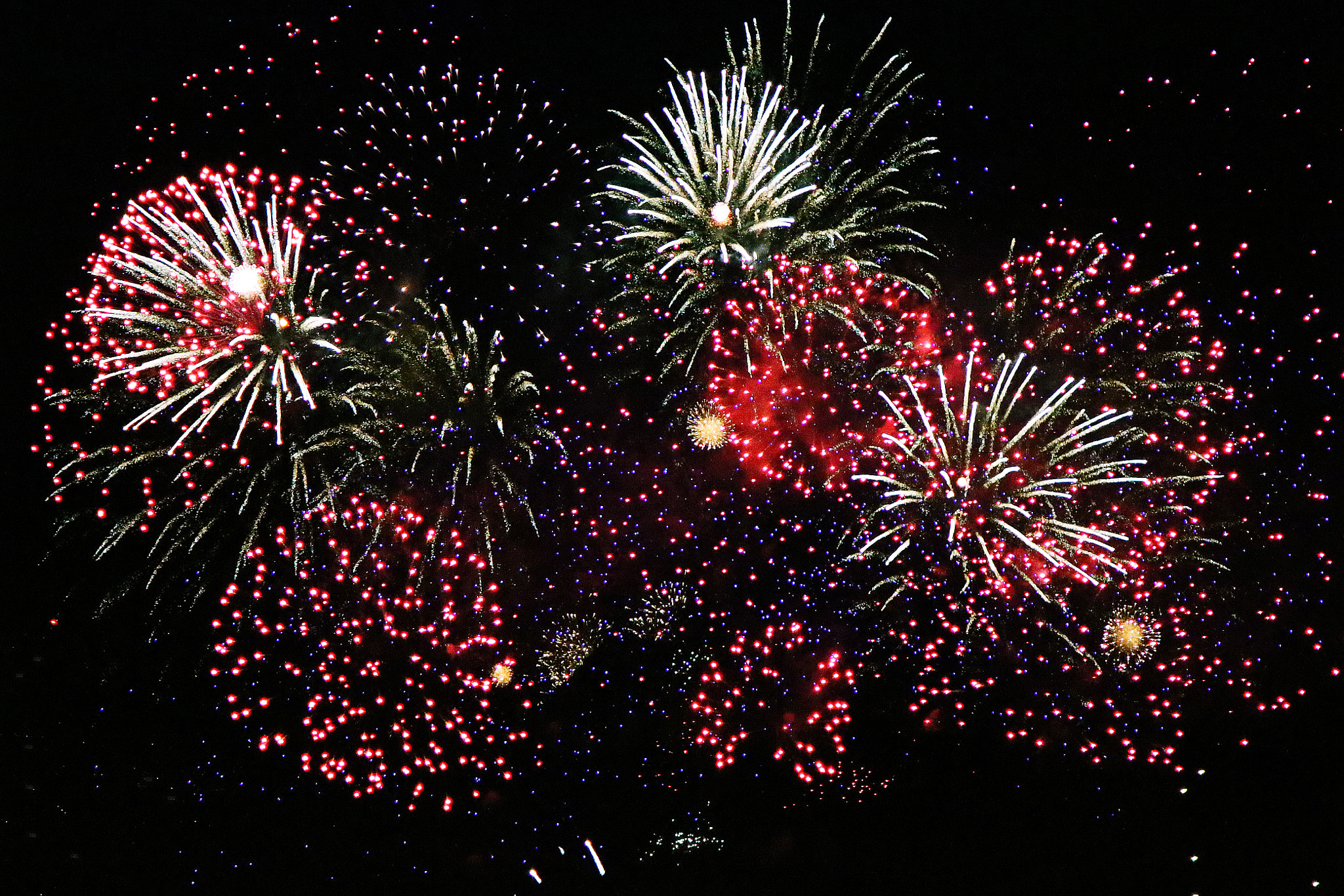Canon EF 24-105mm F3.5-5.6 IS STM sample photo. Firework photography