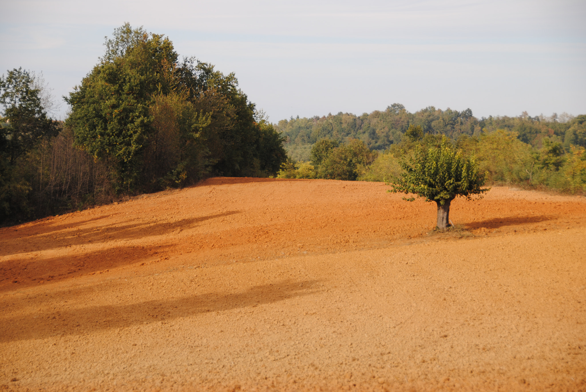 Nikon D3000 sample photo. Plowed field photography