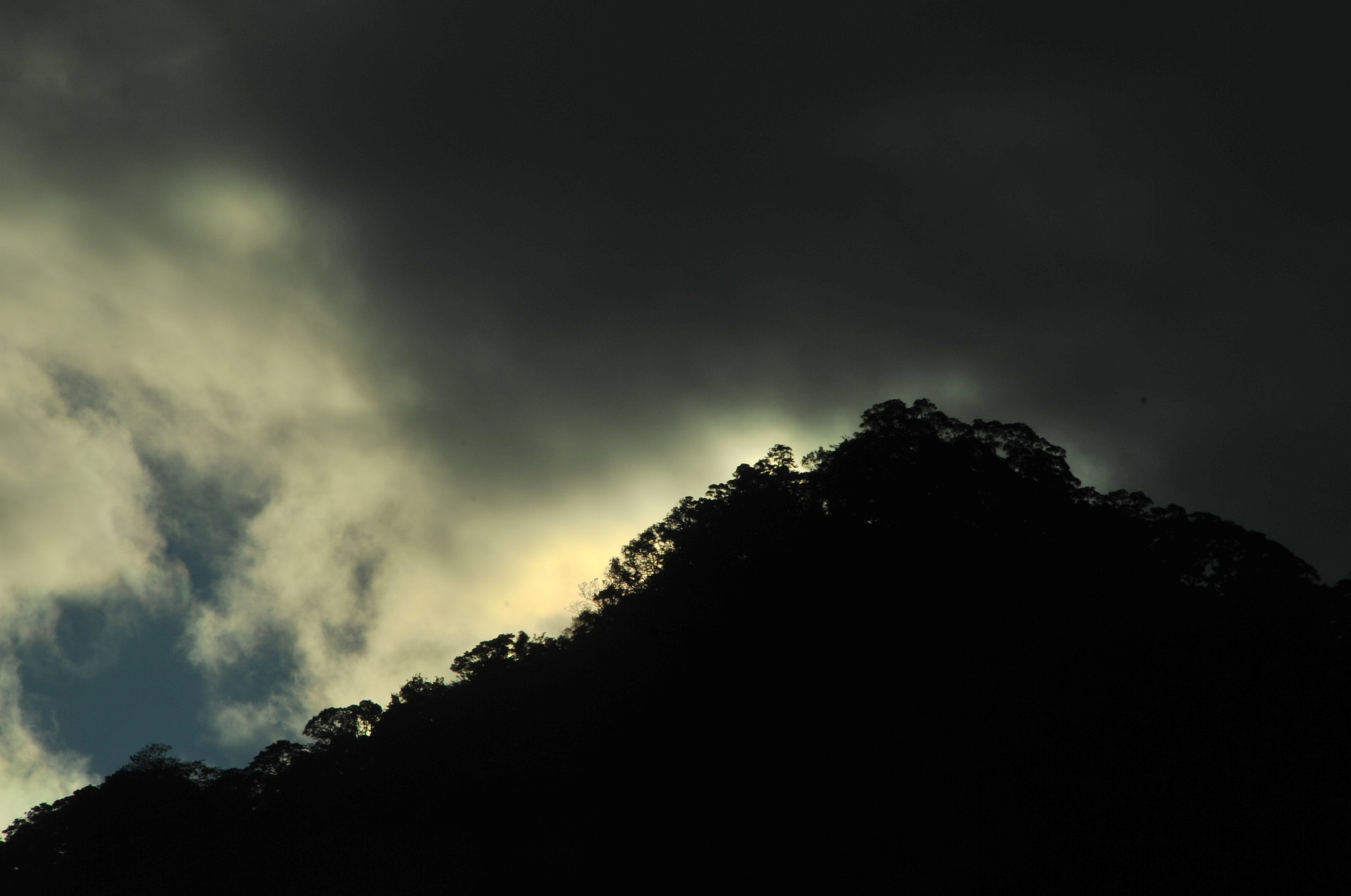 Nikon D3S sample photo. .. photography