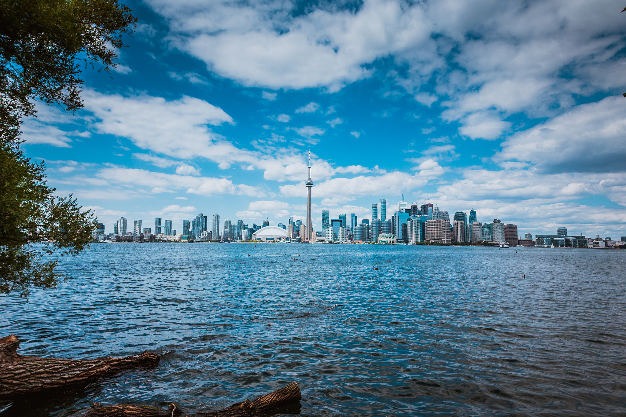 Canon EOS 6D + Sigma 12-24mm F4.5-5.6 II DG HSM sample photo. Skyline of toronto photography