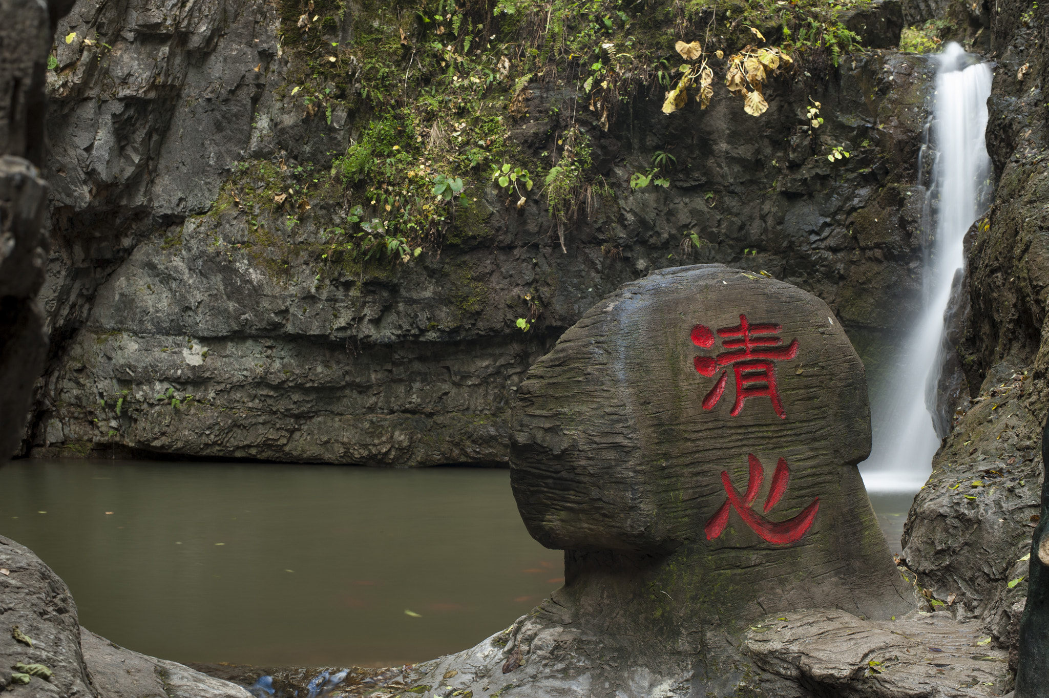 ZEISS Planar T* 50mm F1.4 sample photo. 可以清心 photography
