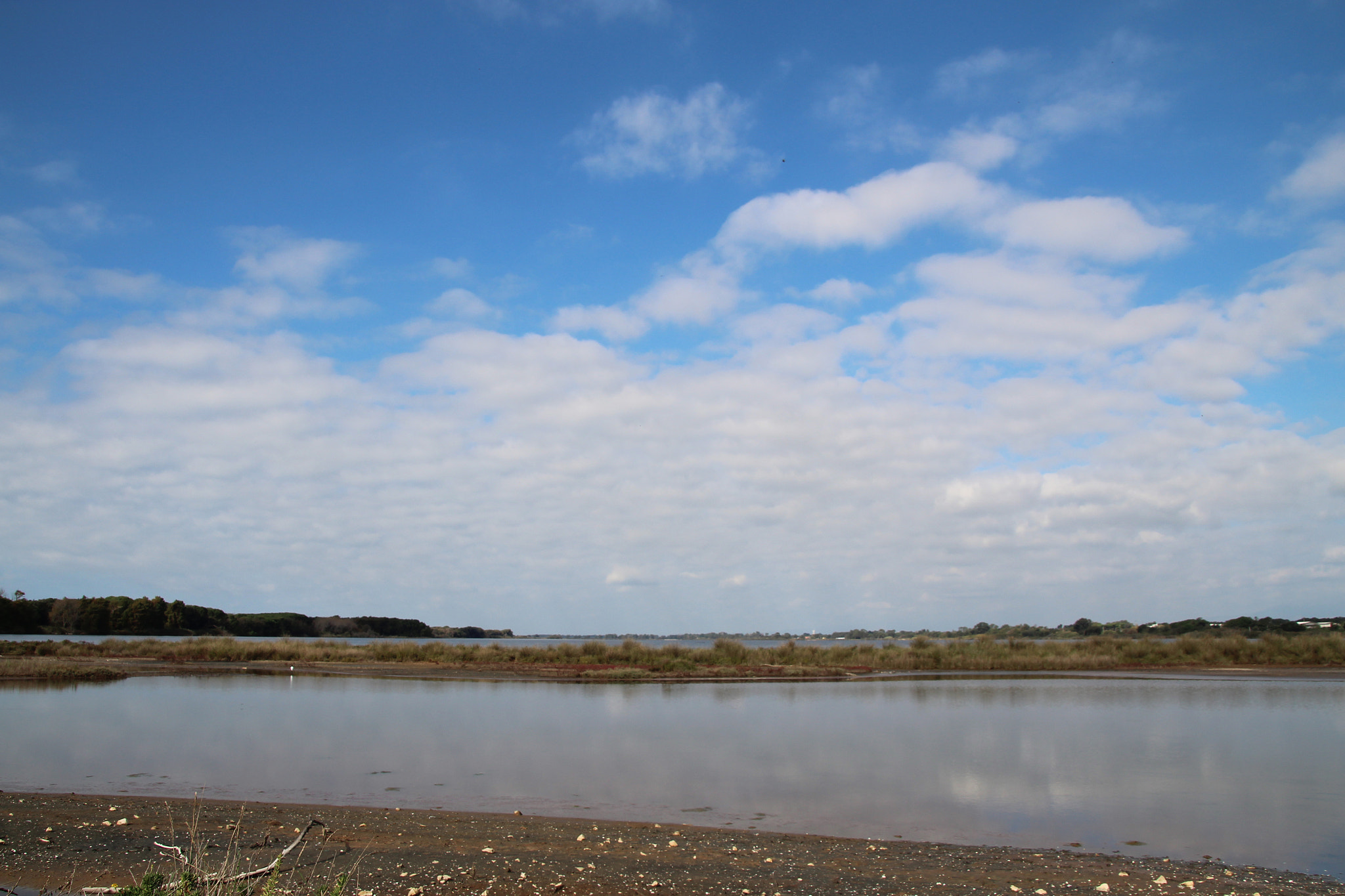 Canon TS-E 90mm F2.8 Tilt-Shift sample photo. Riflessi sull'acqua photography