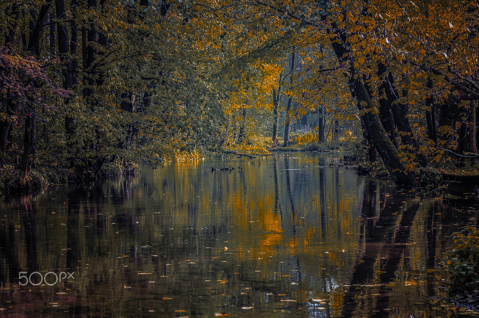 Nikon D300S sample photo. Between summer and winter photography