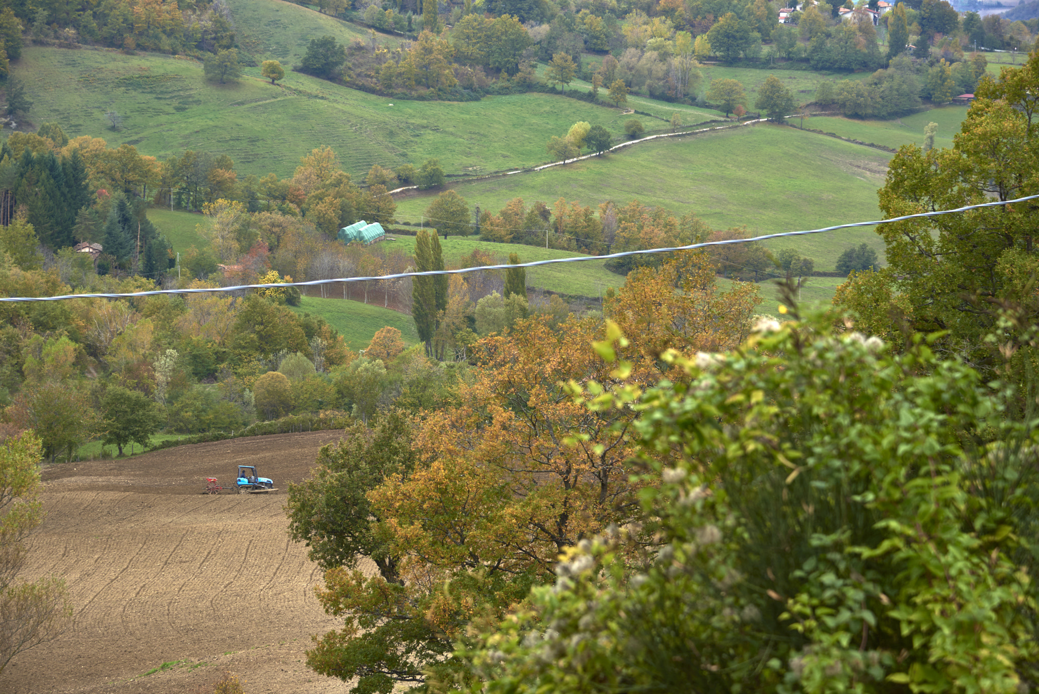 Nikon AF-S Nikkor 24-120mm F4G ED VR sample photo. Bagno di romagna, autumn 2016 photography