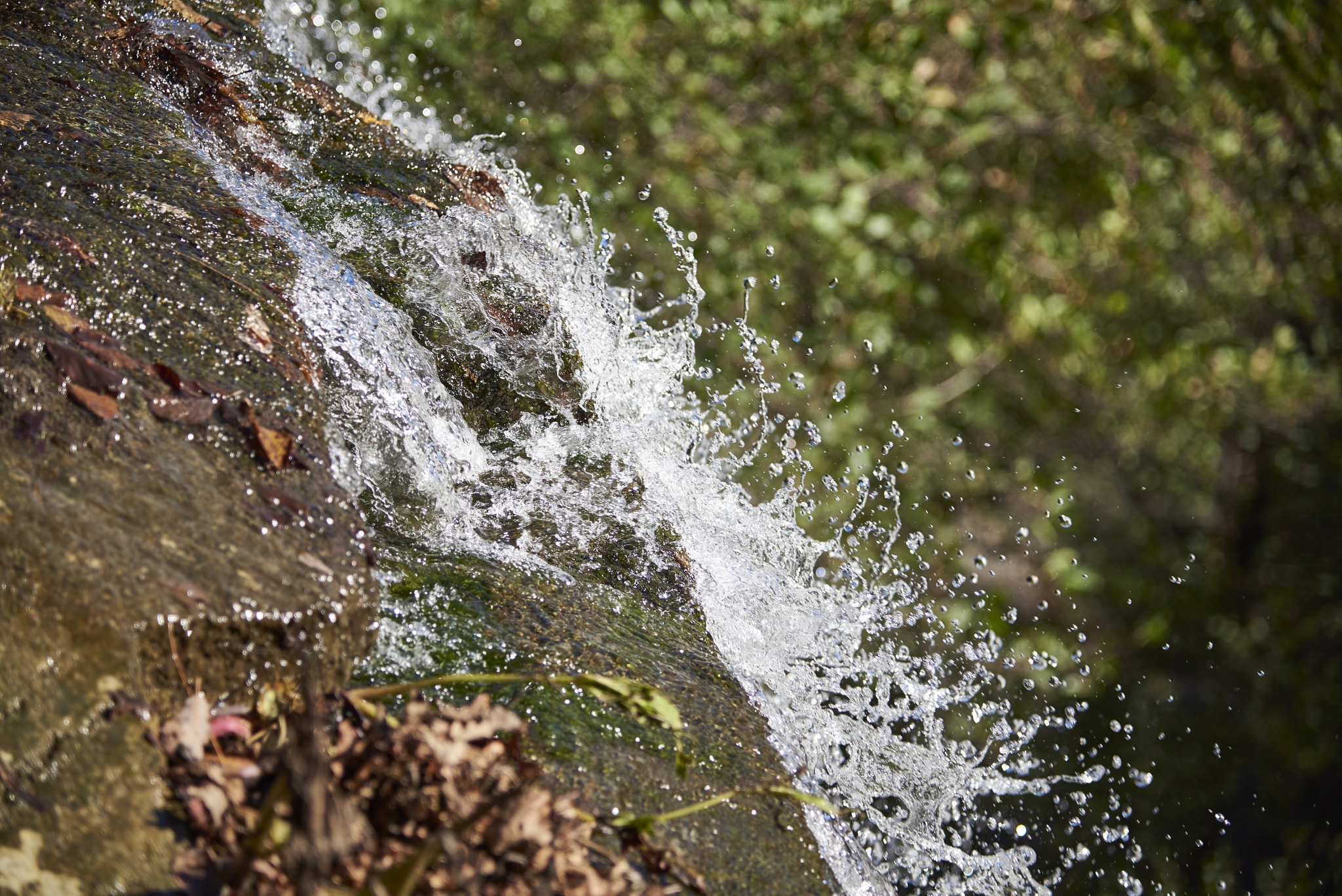 Nikon AF-S Nikkor 24-120mm F4G ED VR sample photo. Bagno di romagna, autumn 2016 photography