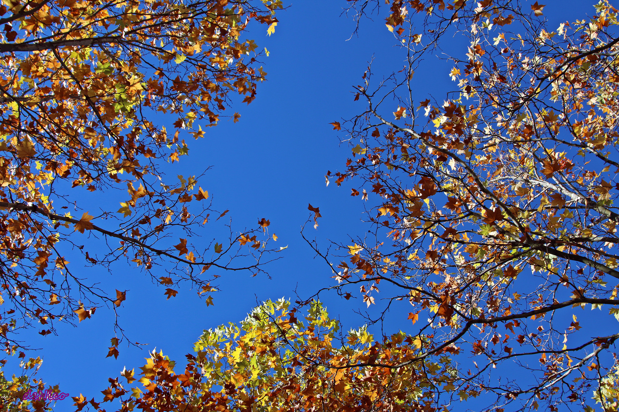 Sigma 24-105mm f/4 DG OS HSM | A sample photo. Img photography