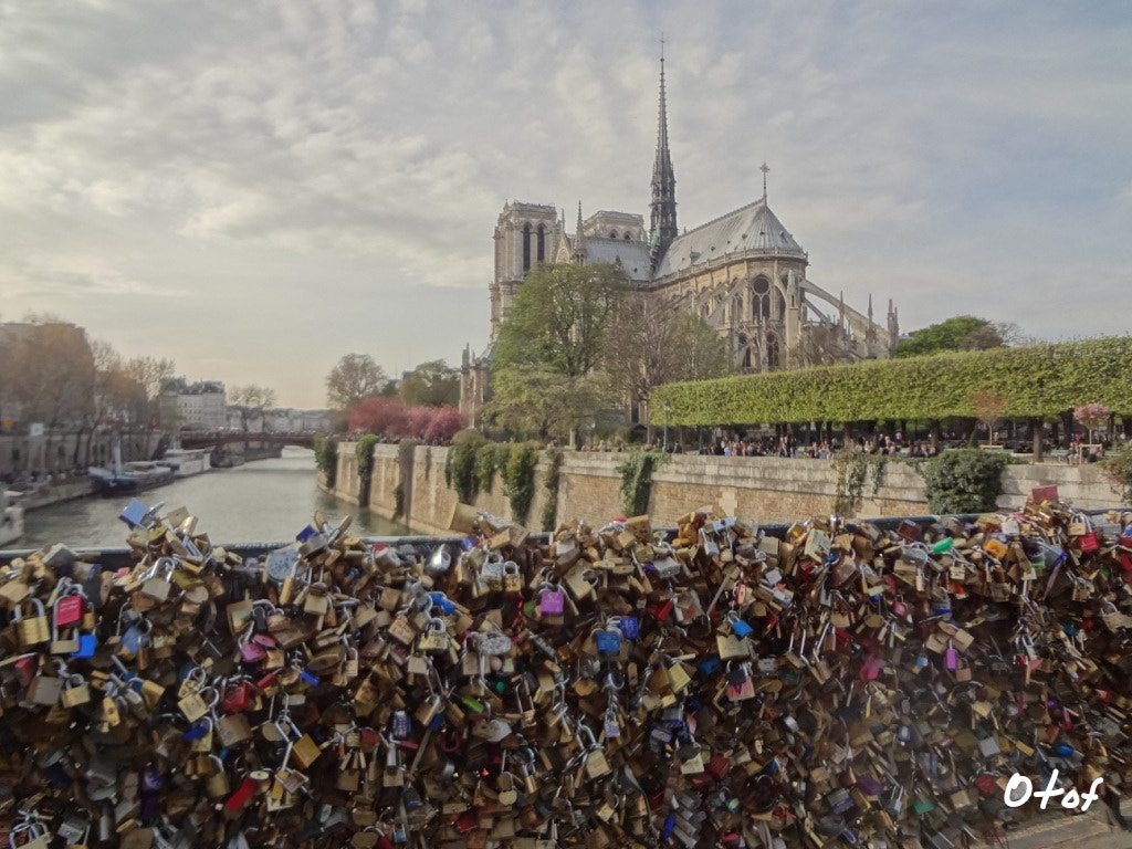 Sony DSC-WX7 sample photo. Notre dame - paris photography
