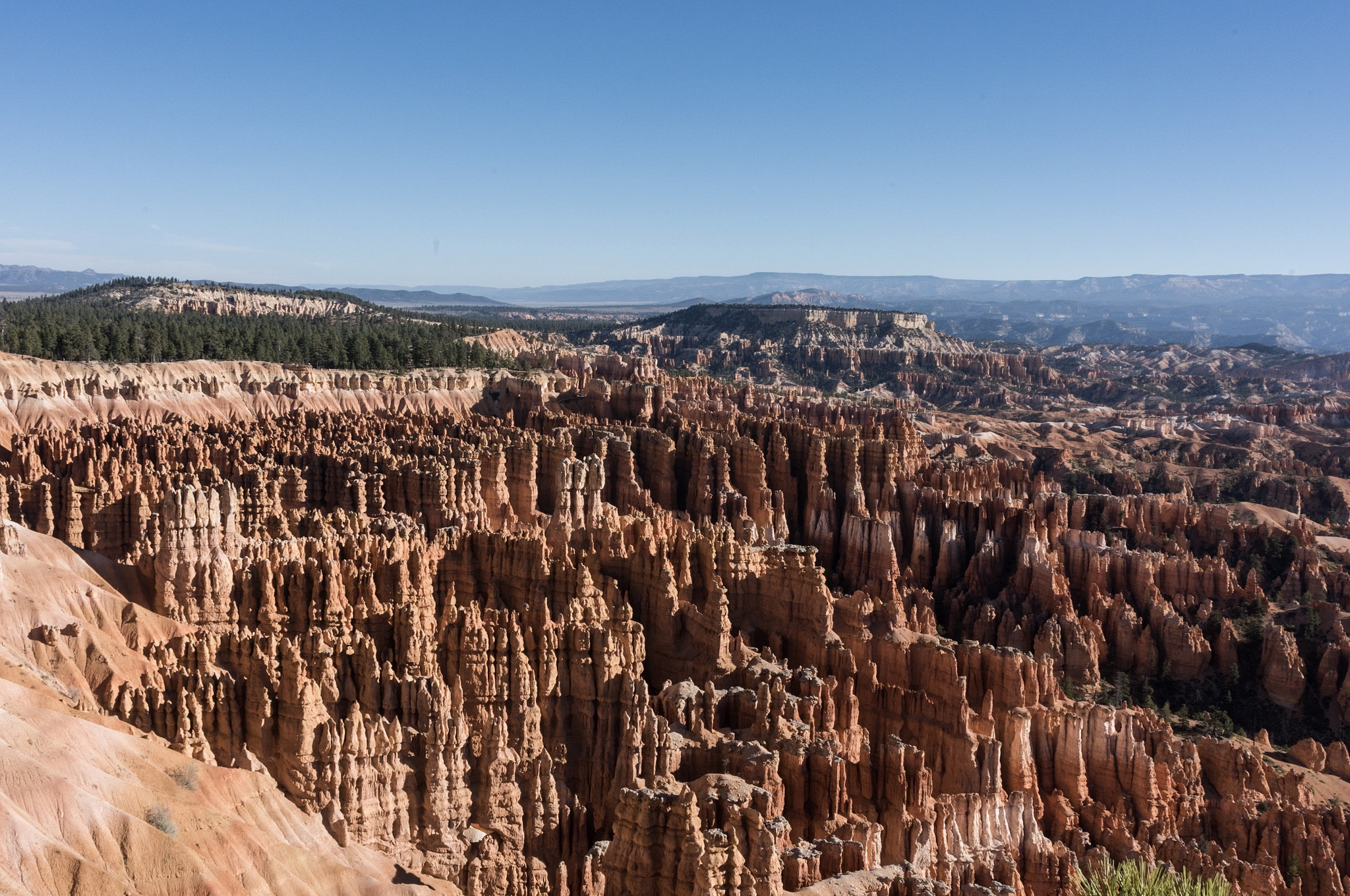 Tamron AF 28-300mm F3.5-6.3 XR Di LD Aspherical (IF) Macro sample photo. Bryce canyon national park #1 photography