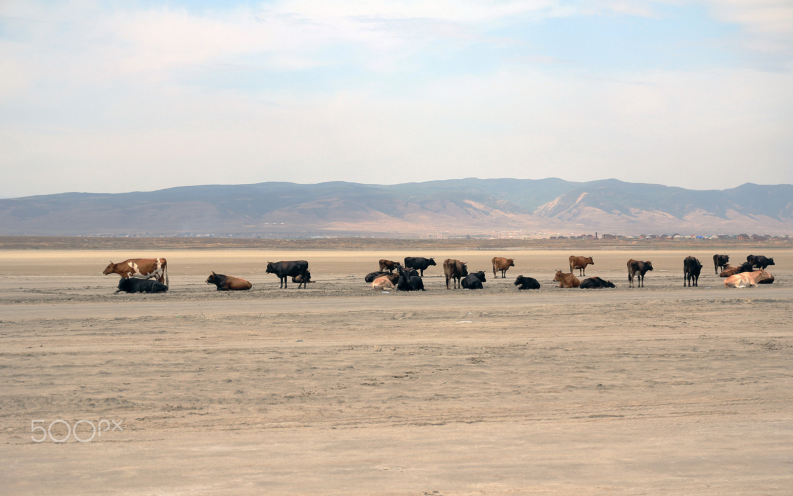 Canon EOS 60D sample photo. Dry lake turaly in makhachkala photography