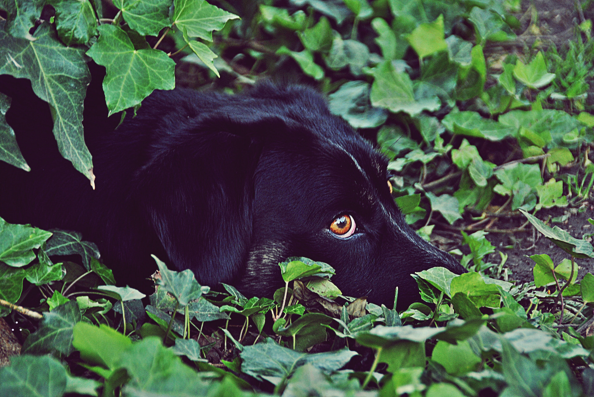 Nikon D3000 sample photo. Hunab ku photography