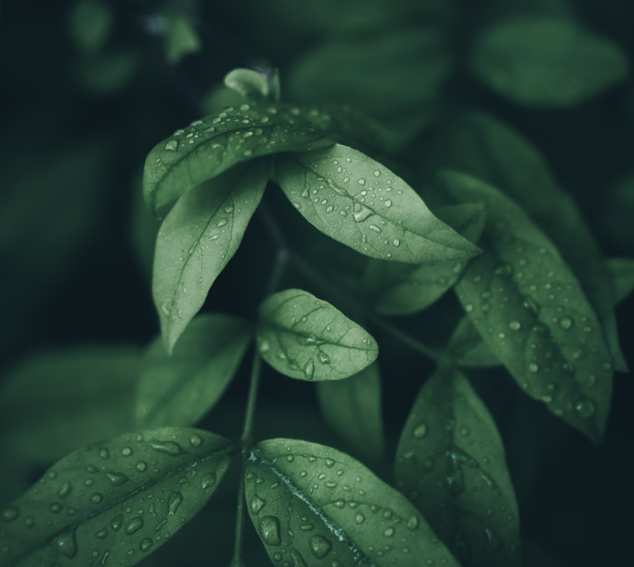 Sigma 50mm F1.4 EX DG HSM sample photo. The calm after the storm photography
