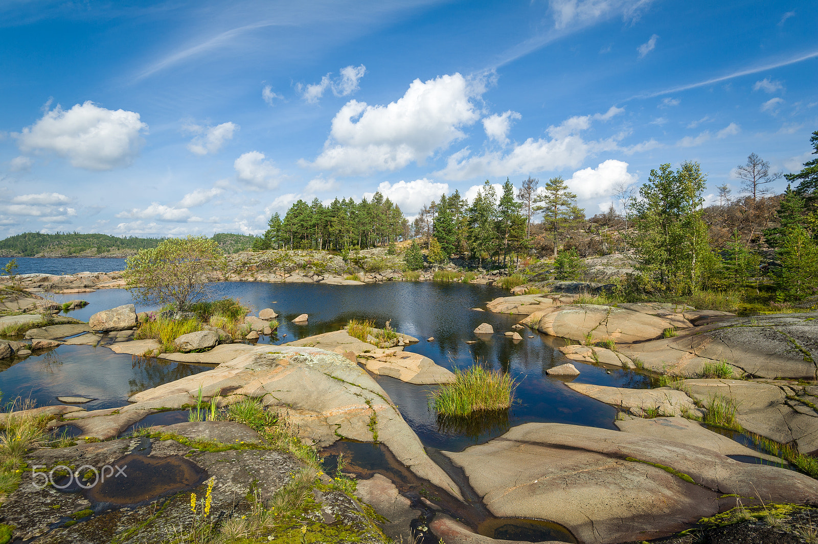 Nikon D3S sample photo. Typical view of karelia republic nature. photography