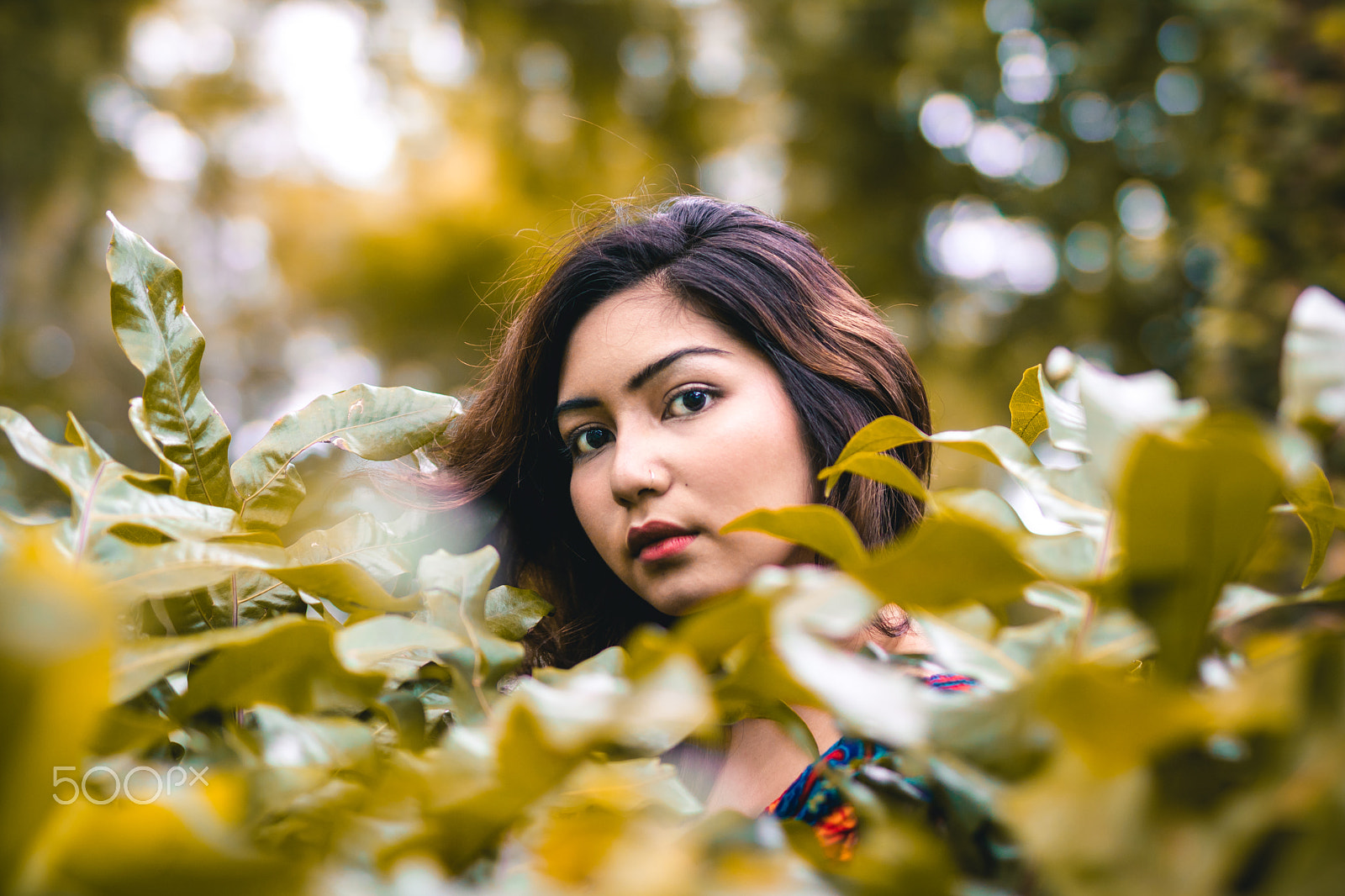 Sigma 50mm F1.4 EX DG HSM sample photo. Autumn photography