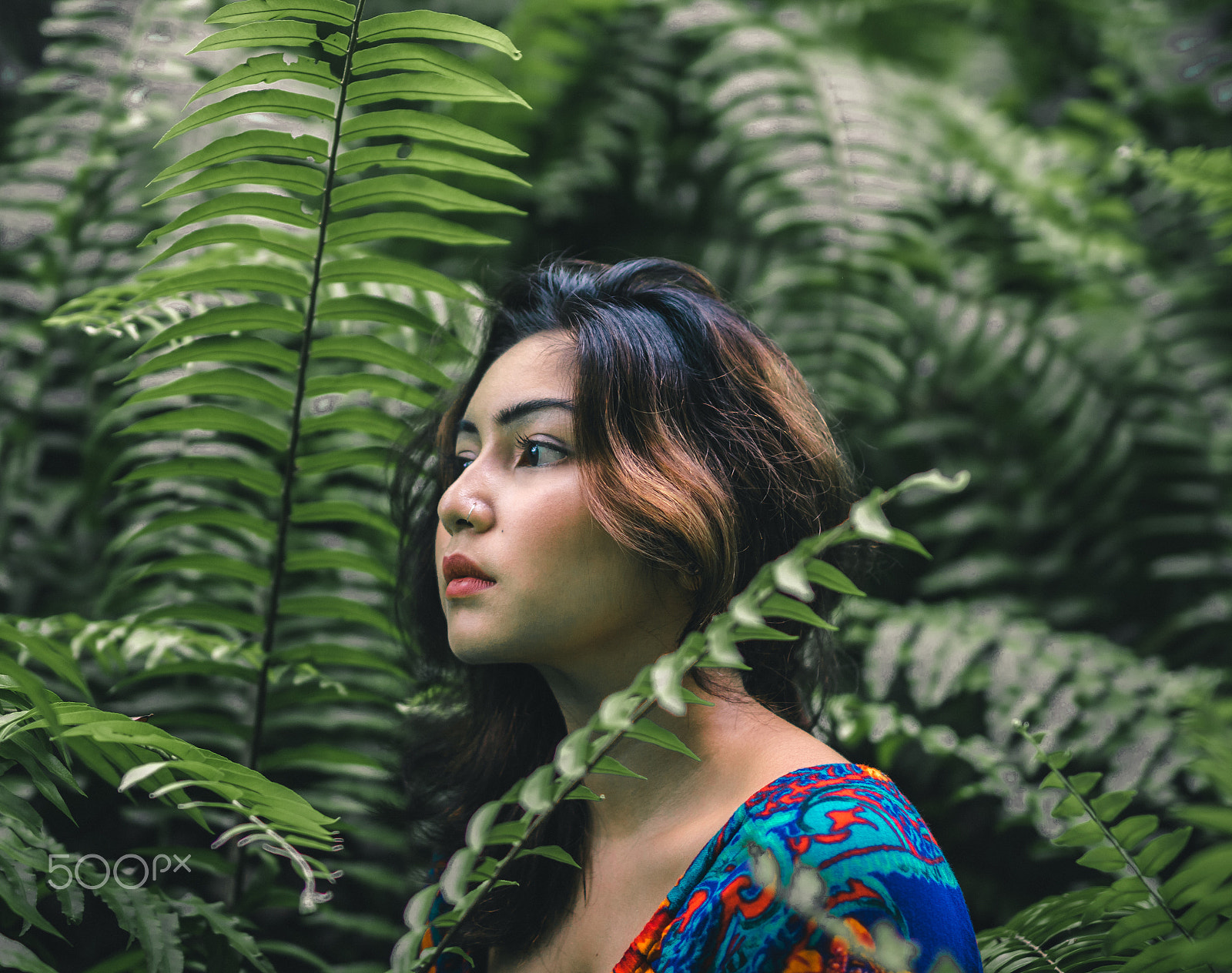 Sigma 50mm F1.4 EX DG HSM sample photo. Closure photography