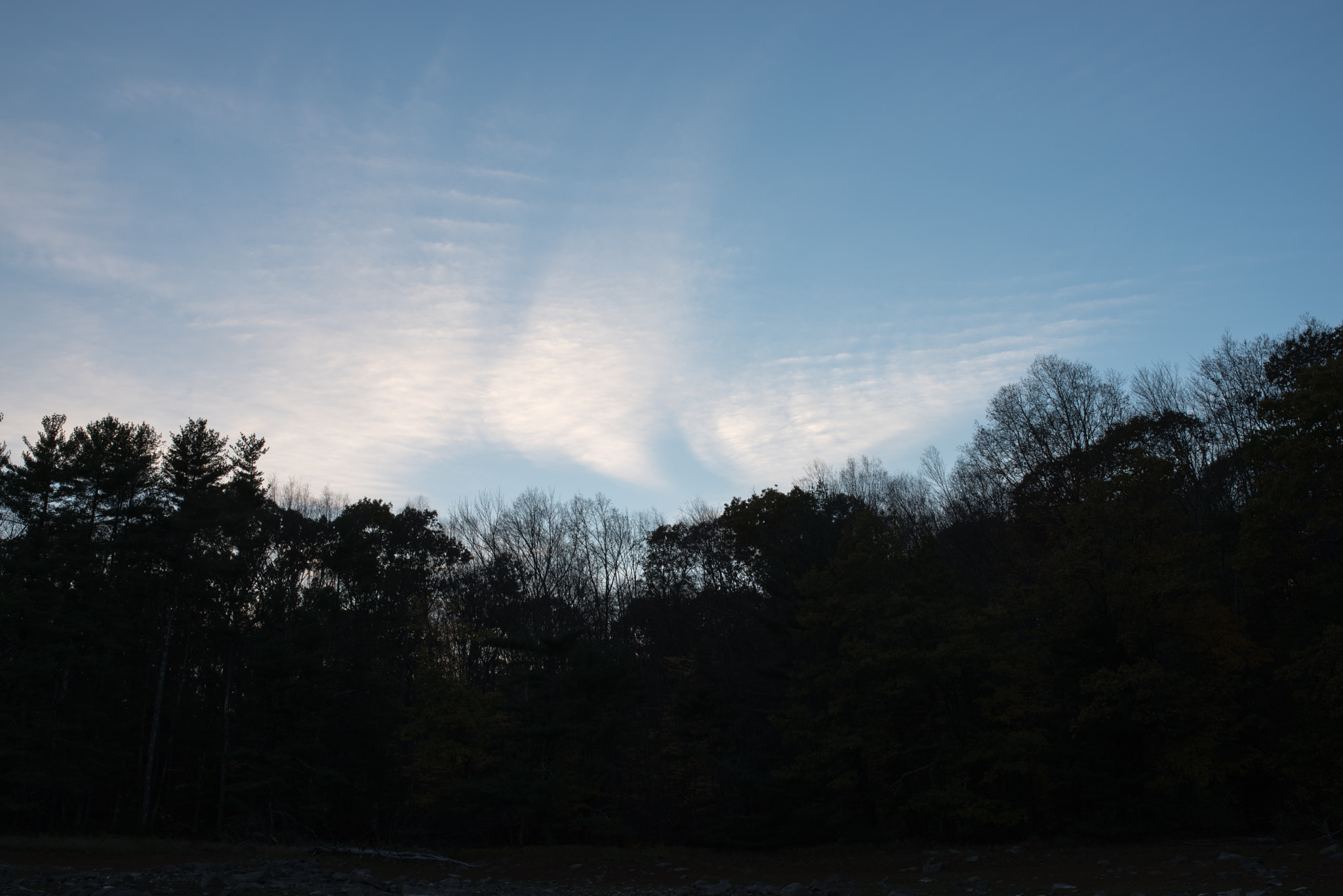 Pentax K-1 + Sigma 35mm F1.4 DG HSM Art sample photo. Tree-line and sky at twilight photography