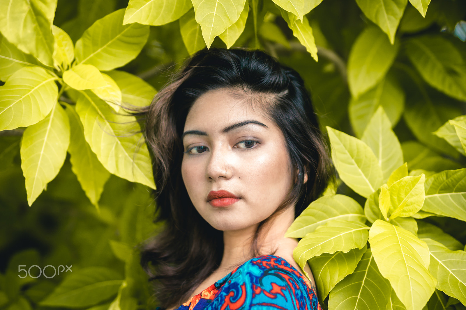 Sigma 50mm F1.4 EX DG HSM sample photo. Surround with nature. photography