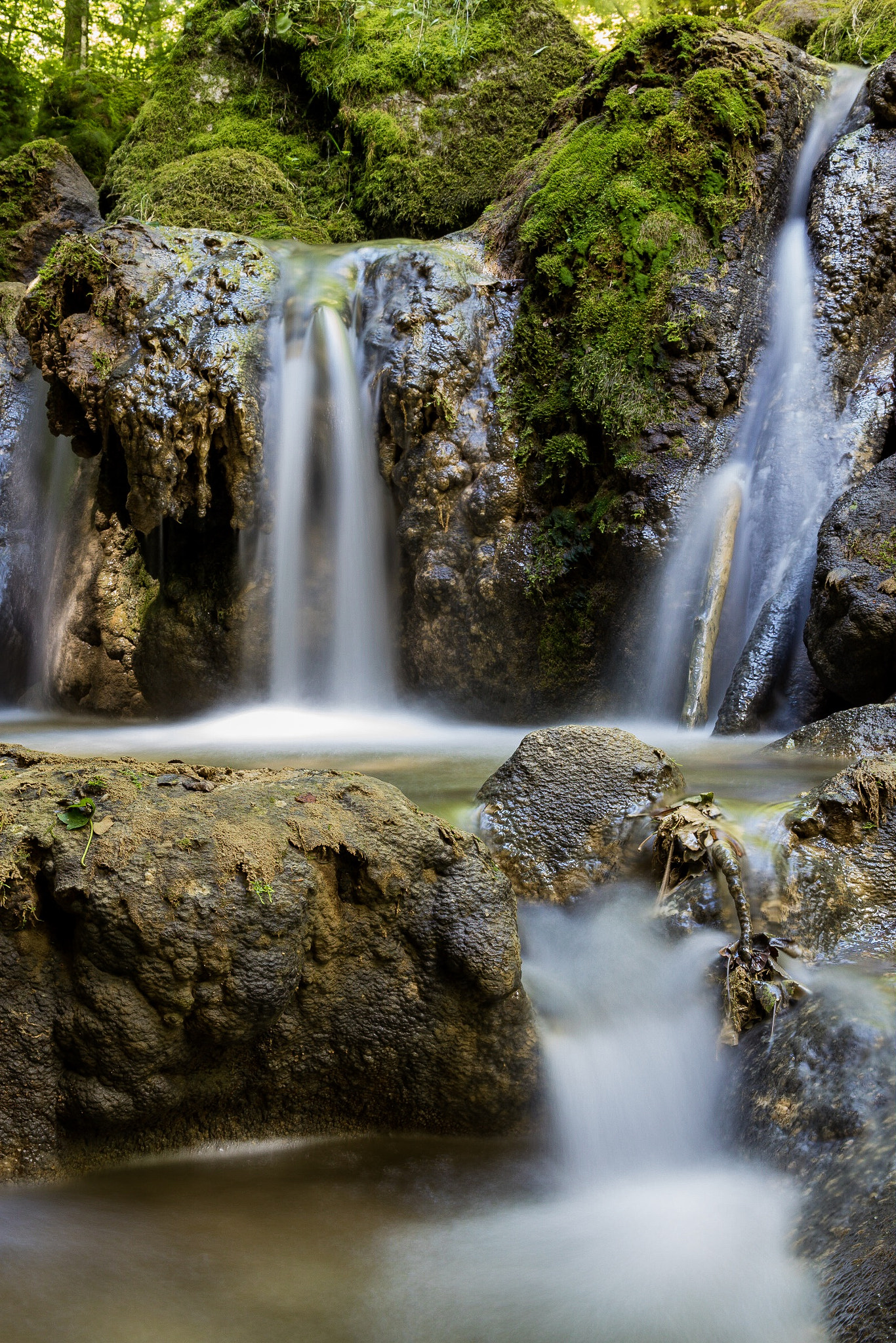 ZEISS Milvus 50mm F2 Macro sample photo. Twannbachschlucht, switzerland photography