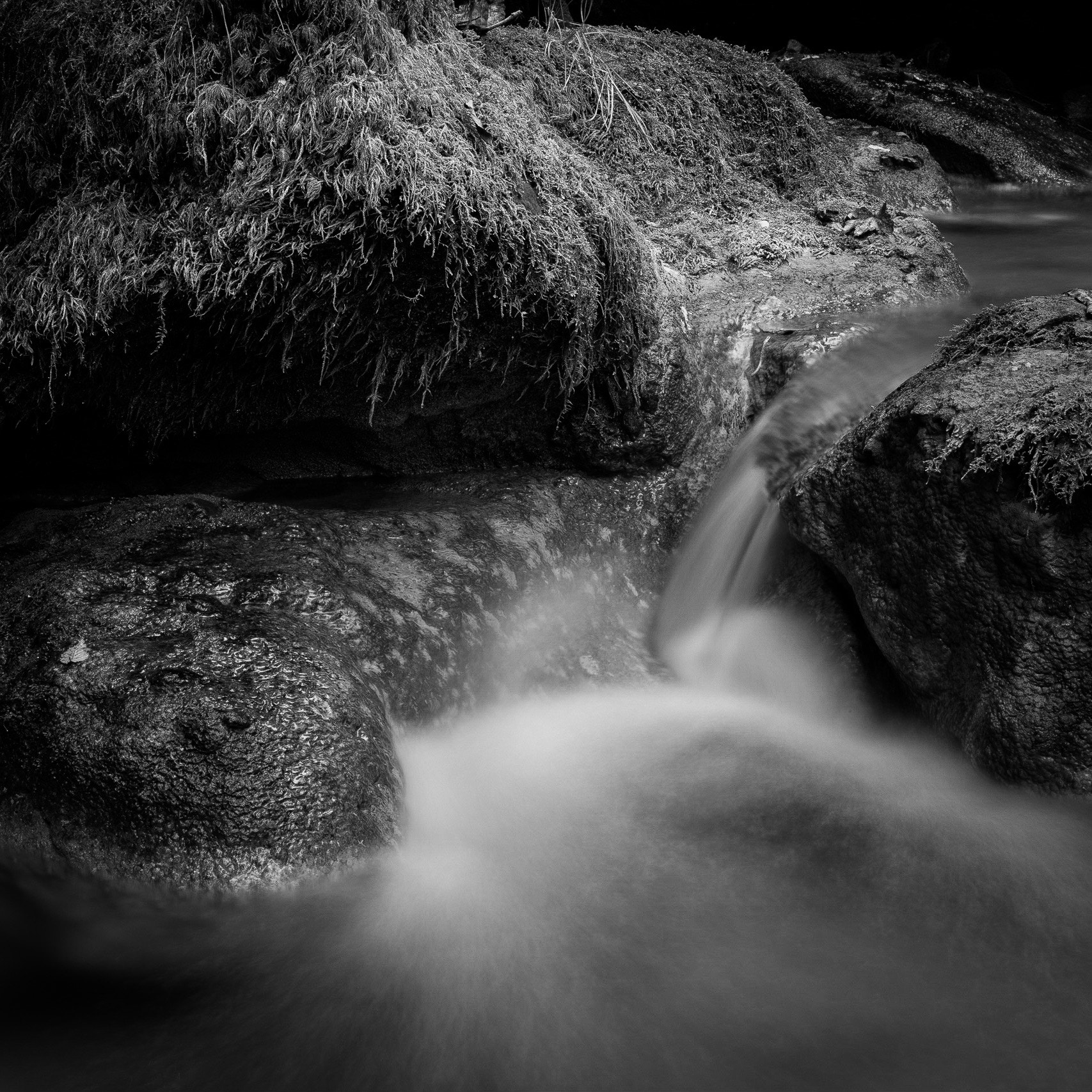 ZEISS Milvus 50mm F2 Macro sample photo. Twannbachschlucht, switzerland photography