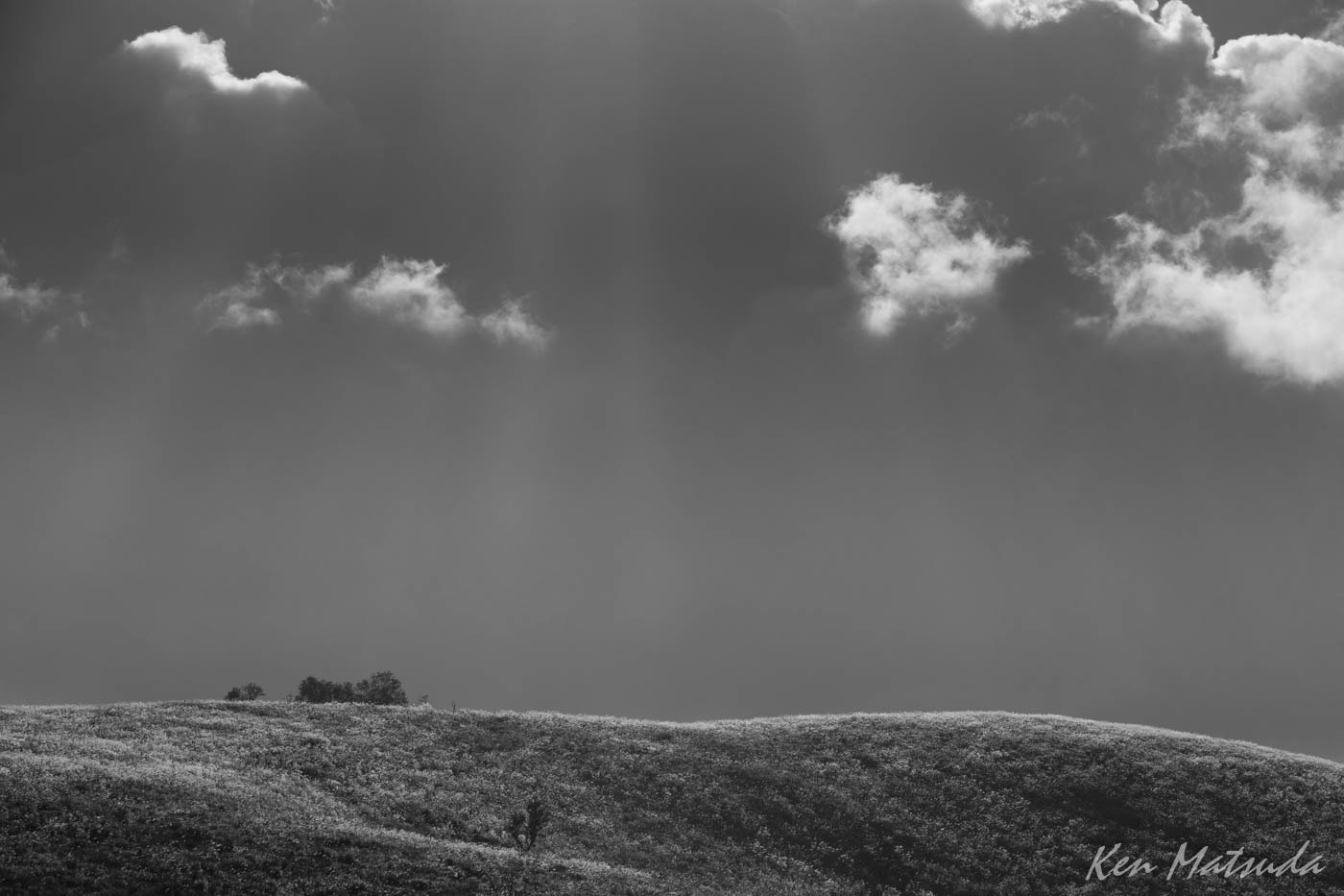 Canon EF 70-200mm F2.8L IS USM sample photo. Akiyoshidai photography