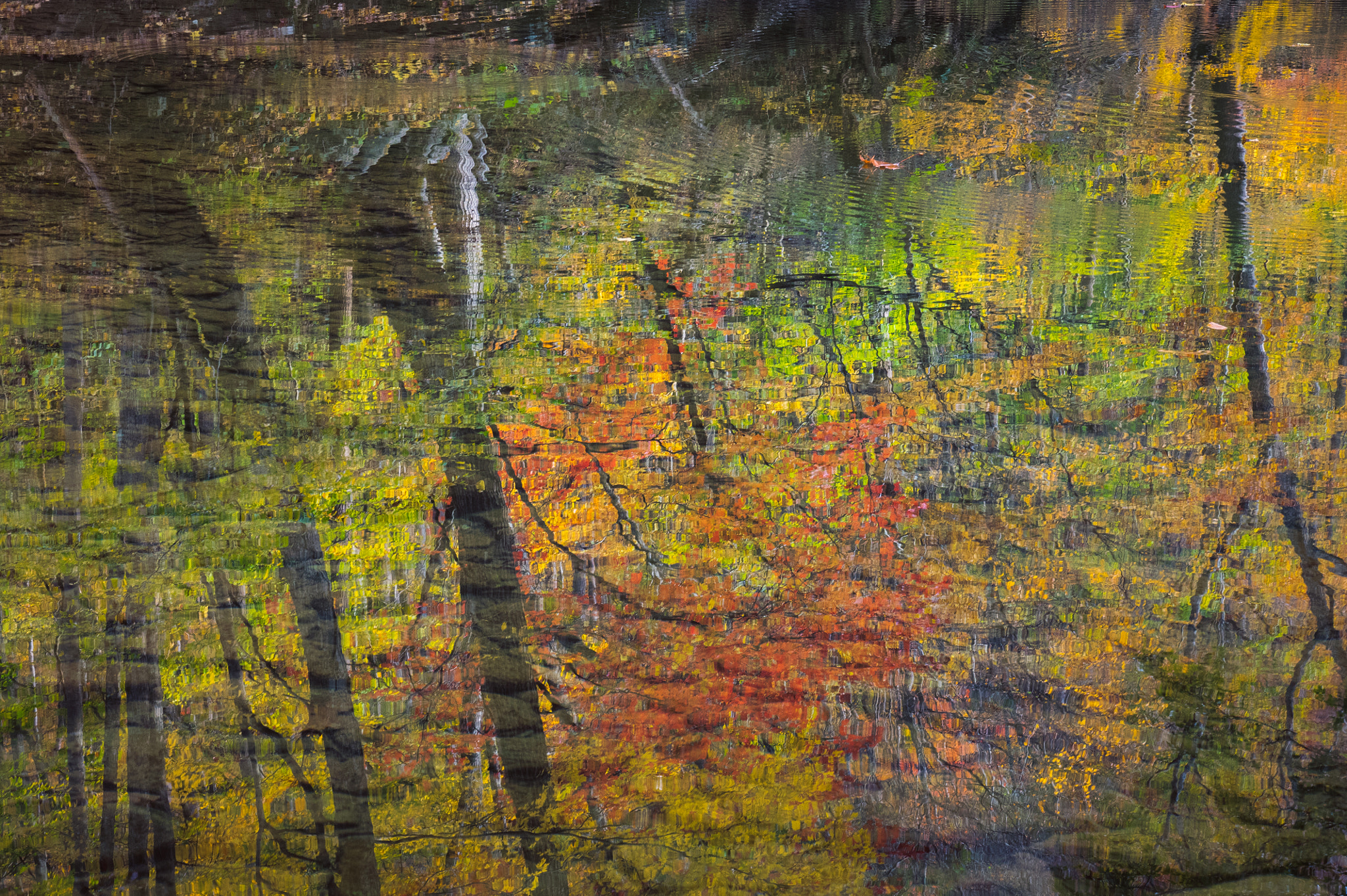 Pentax K-3 II sample photo. Through the looking glass, alice photography