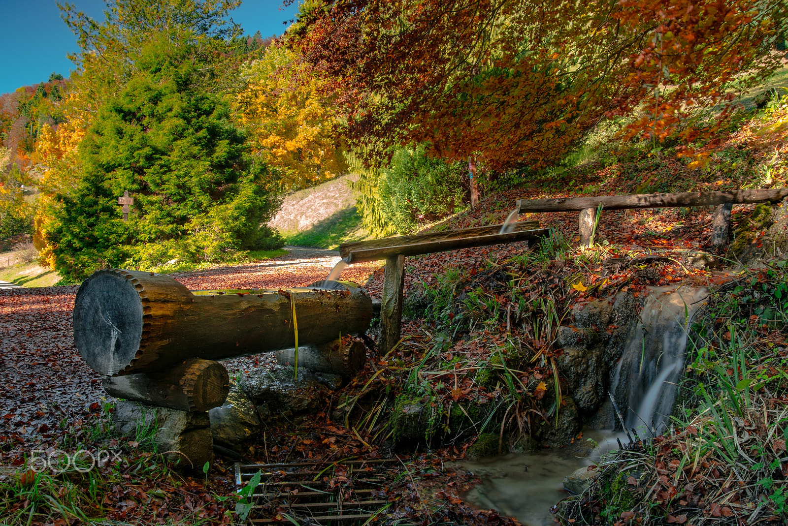 Nikon D800 sample photo. Arbetorum aubonne photography