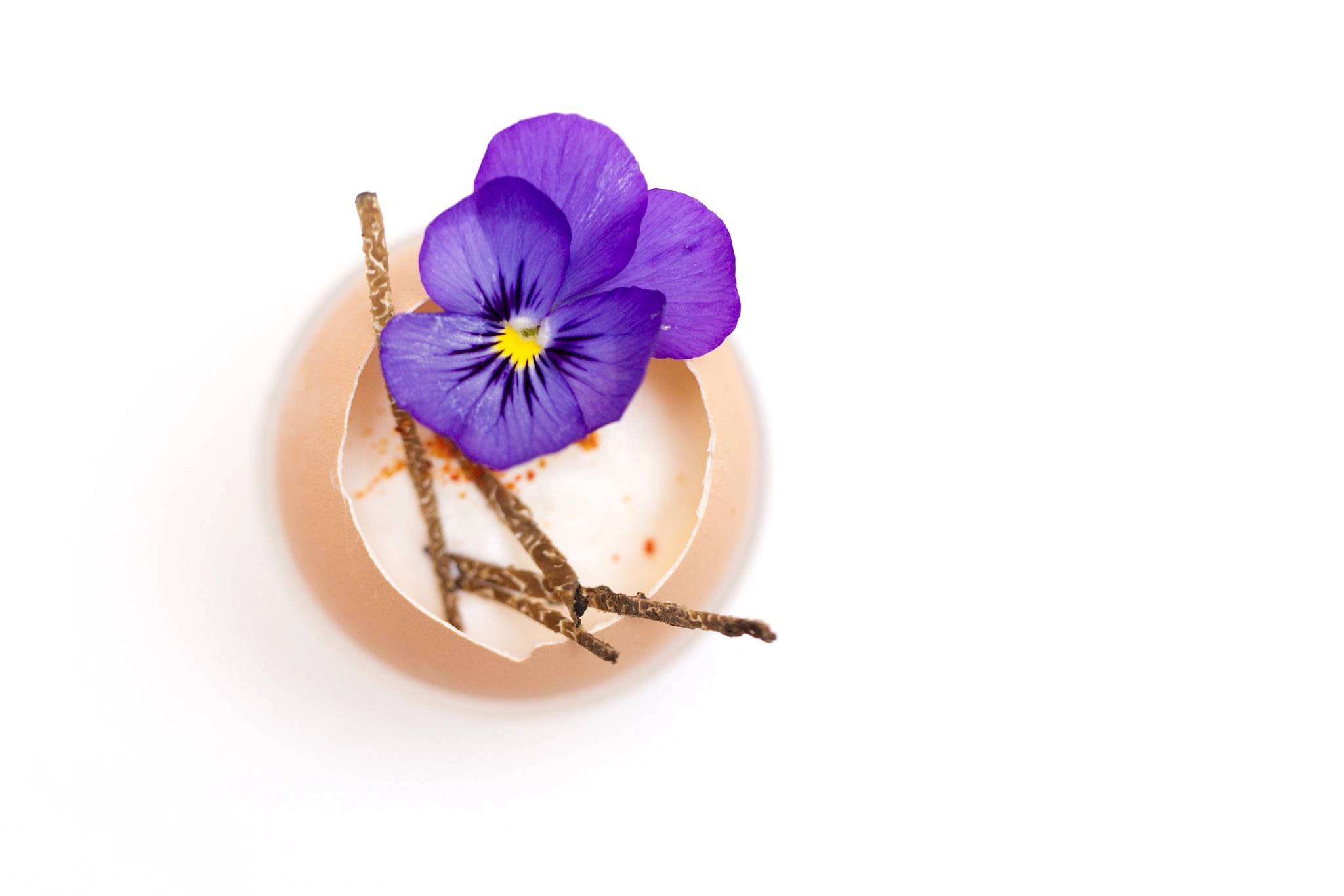 Canon EOS-1D Mark IV sample photo. A holy egg.  photography