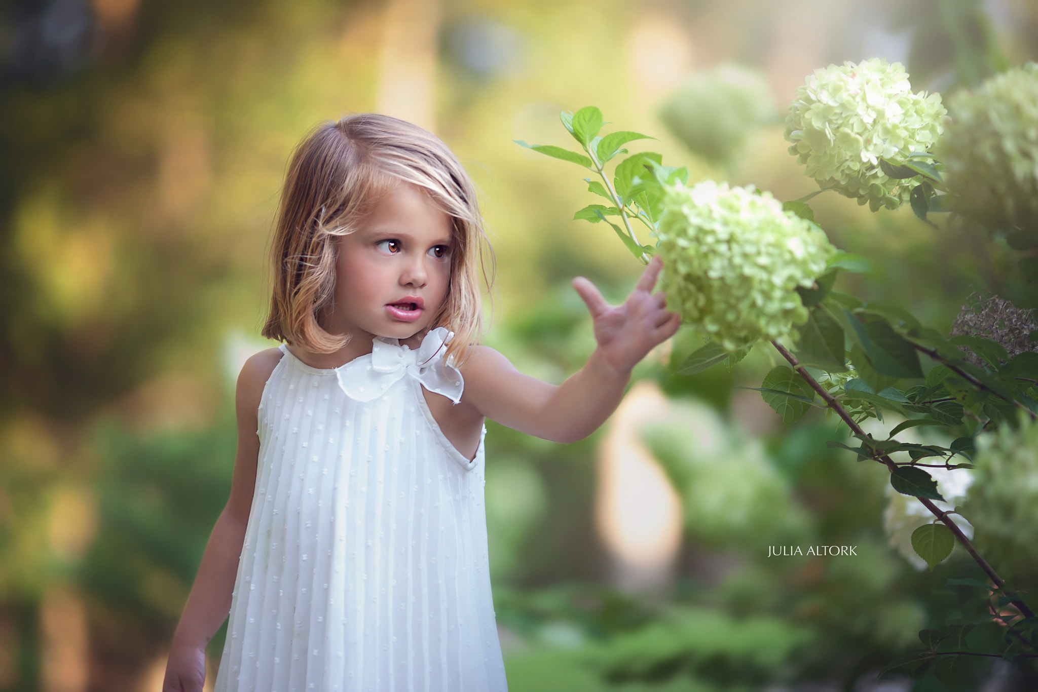Canon EOS 5D + Canon EF 135mm F2L USM sample photo. Juliaaltork photography