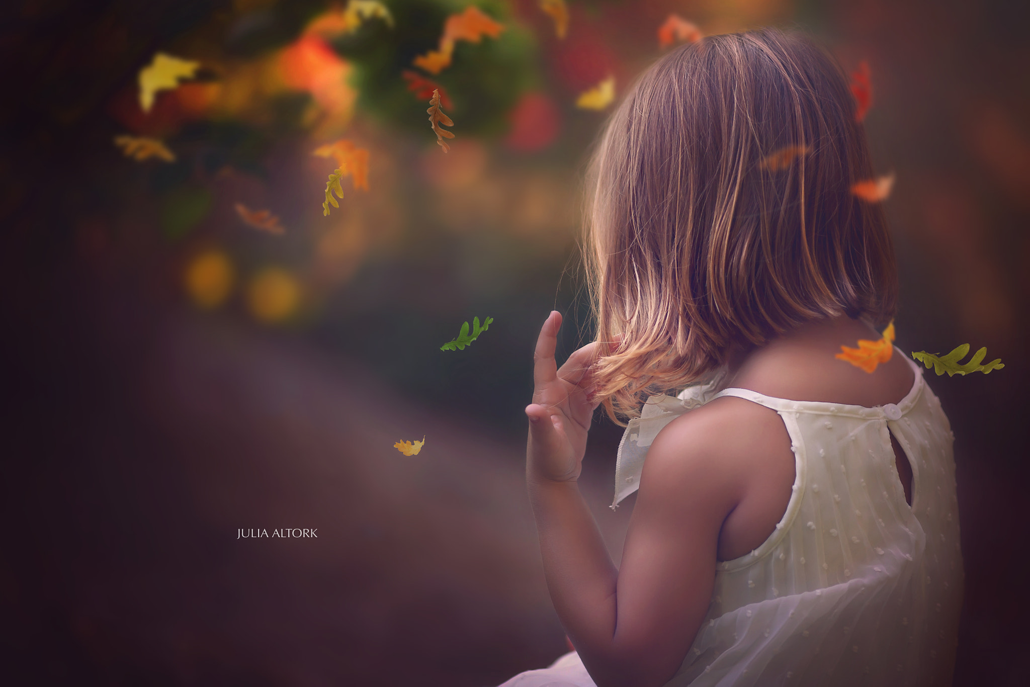 Canon EOS 5D + Canon EF 135mm F2L USM sample photo. Juliaaltork photography