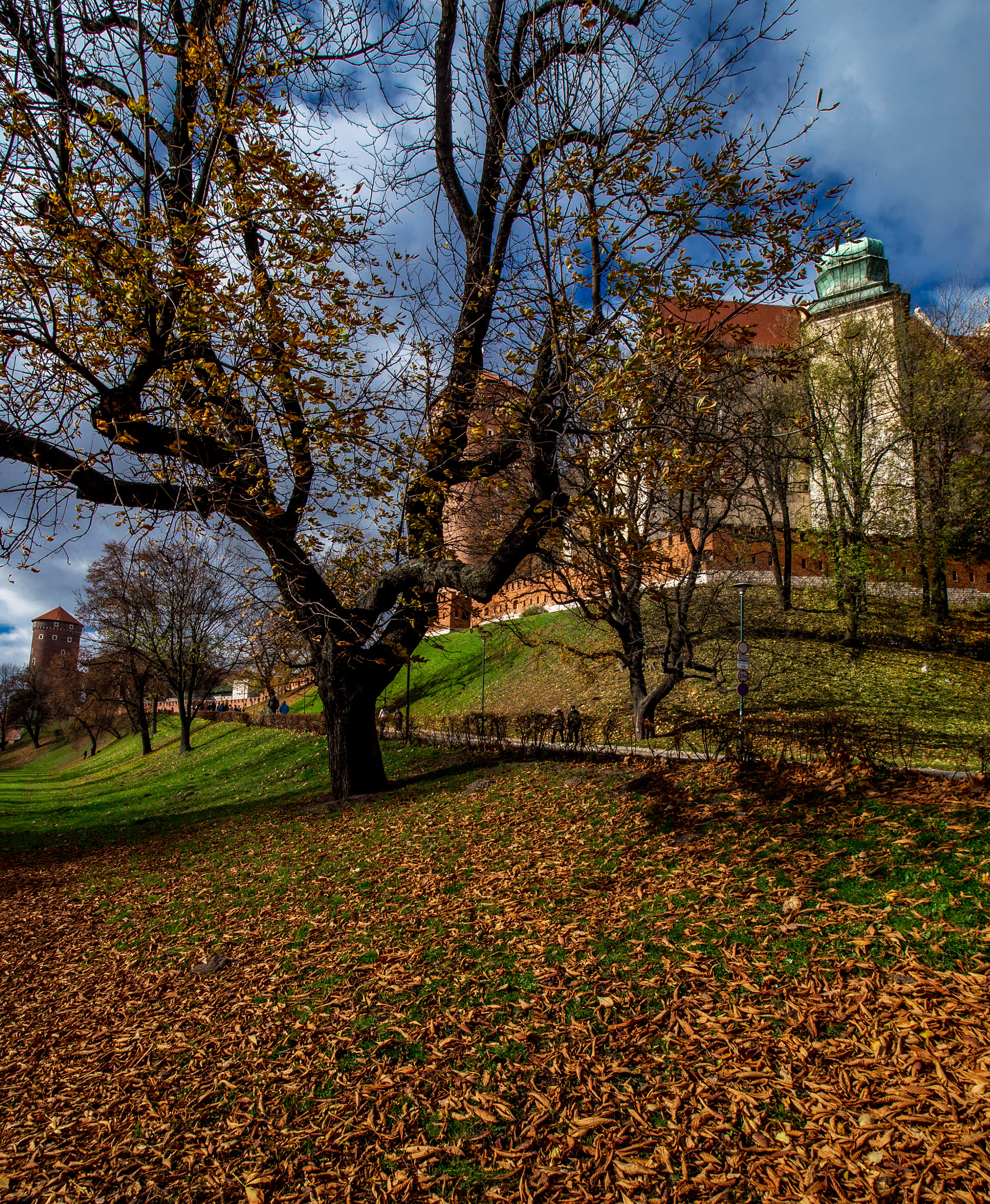 Olympus OM-D E-M5 + Olympus M.Zuiko Digital ED 7-14mm F2.8 PRO sample photo. Wawel castle photography