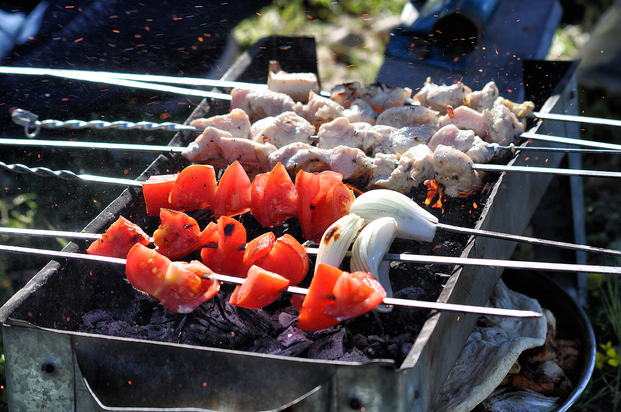 Sigma 70-300mm F4-5.6 APO DG Macro sample photo. Barbecue party photography