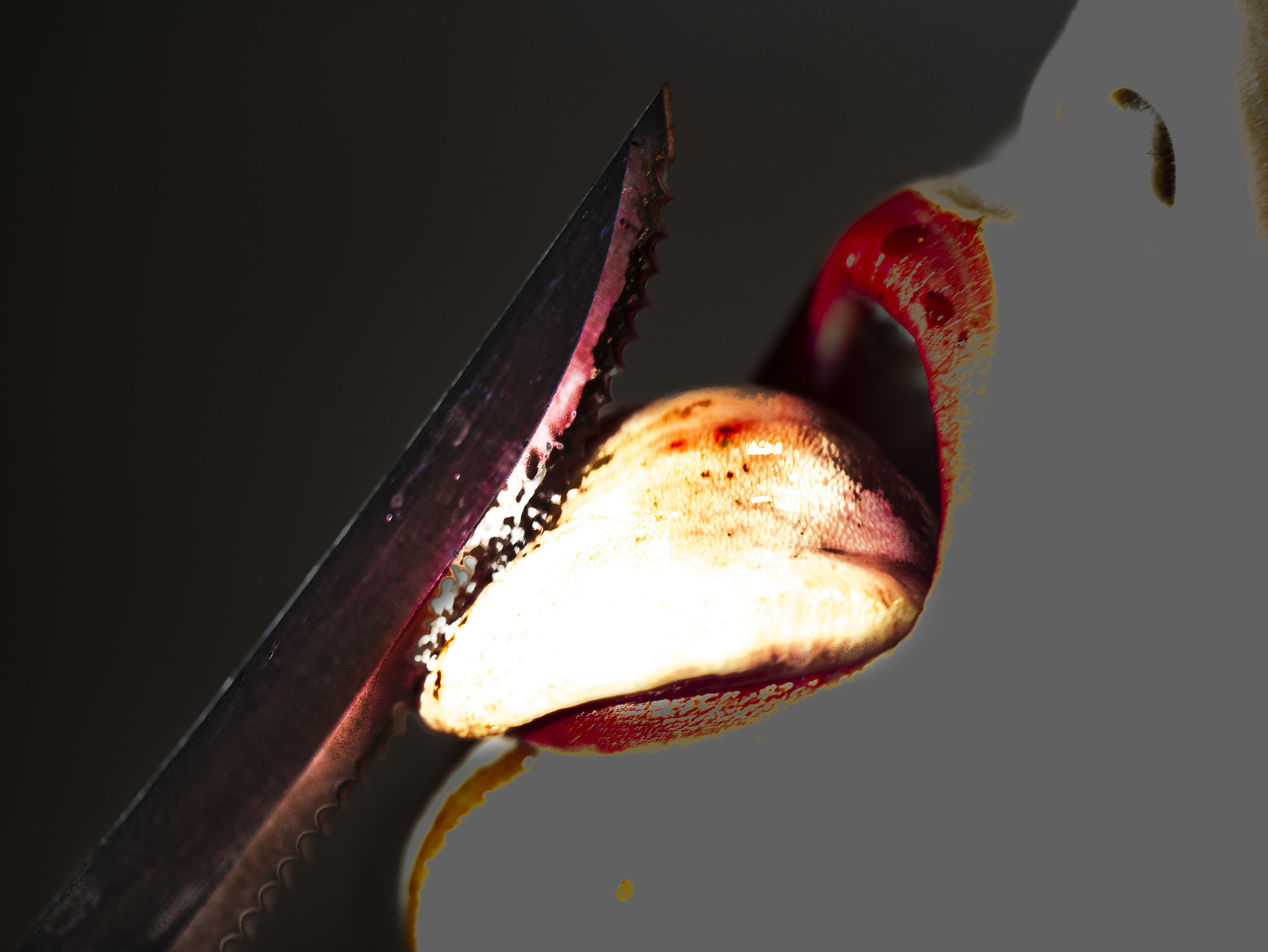 Panasonic Leica DG Macro-Elmarit 45mm F2.8 ASPH OIS sample photo. Lick photography
